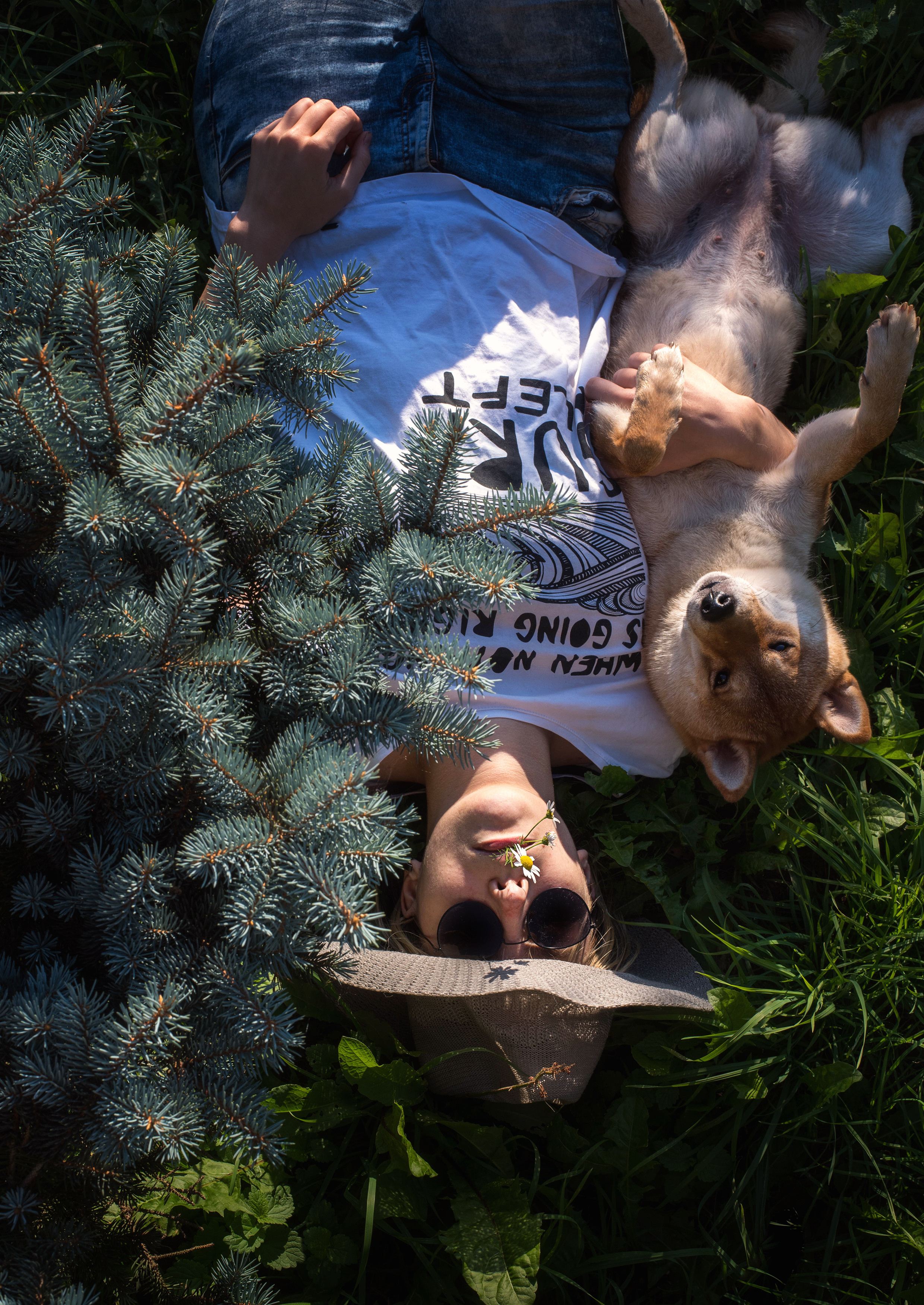 ФОТО СОБАК НА ПРИРОДЕ, В ГОРОДЕ, НА ВЫСТАВКЕ. Фотограф-анималист Ольга Фомичева