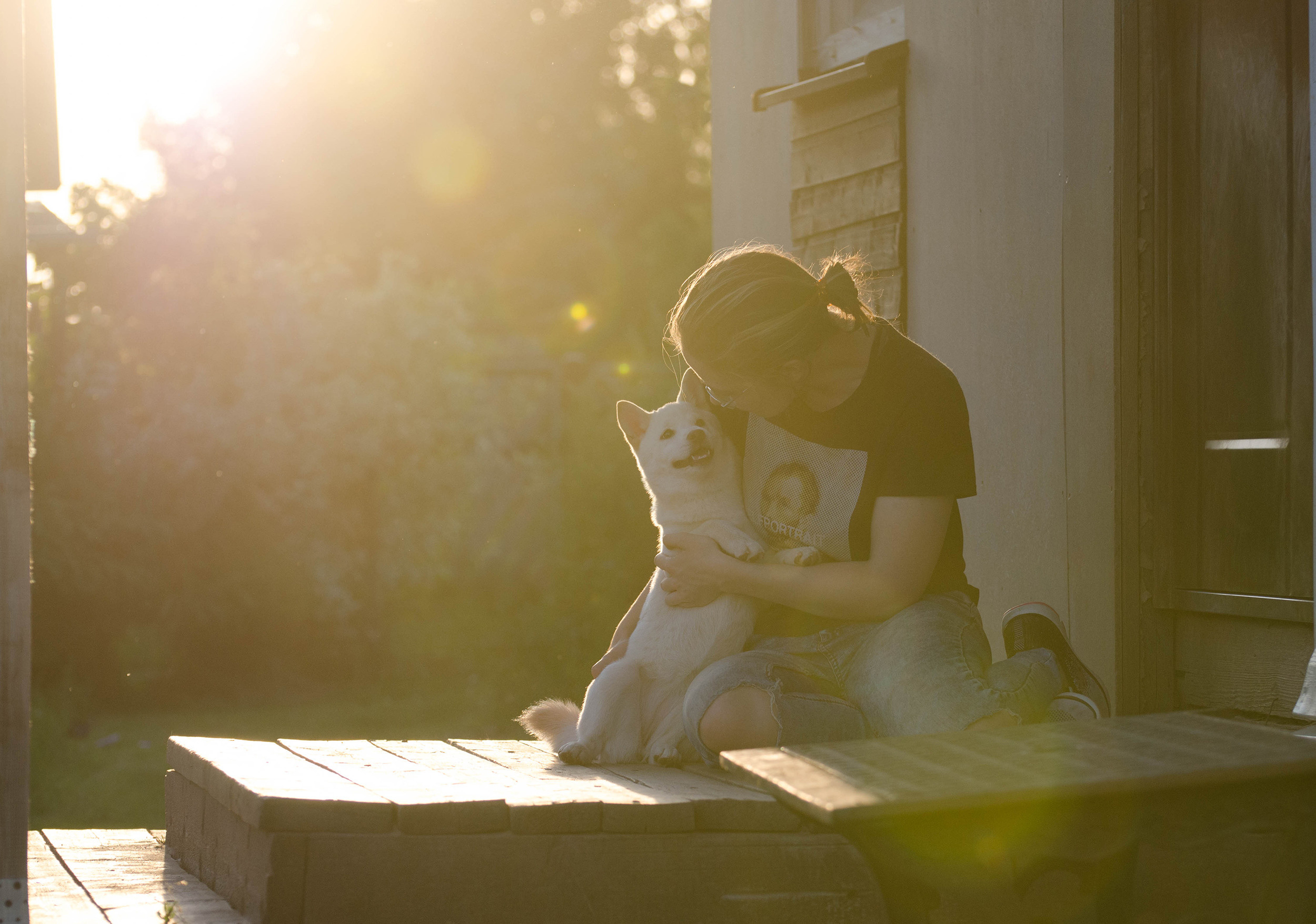 ФОТО СОБАК НА ПРИРОДЕ, В ГОРОДЕ, НА ВЫСТАВКЕ. Фотограф-анималист Ольга Фомичева