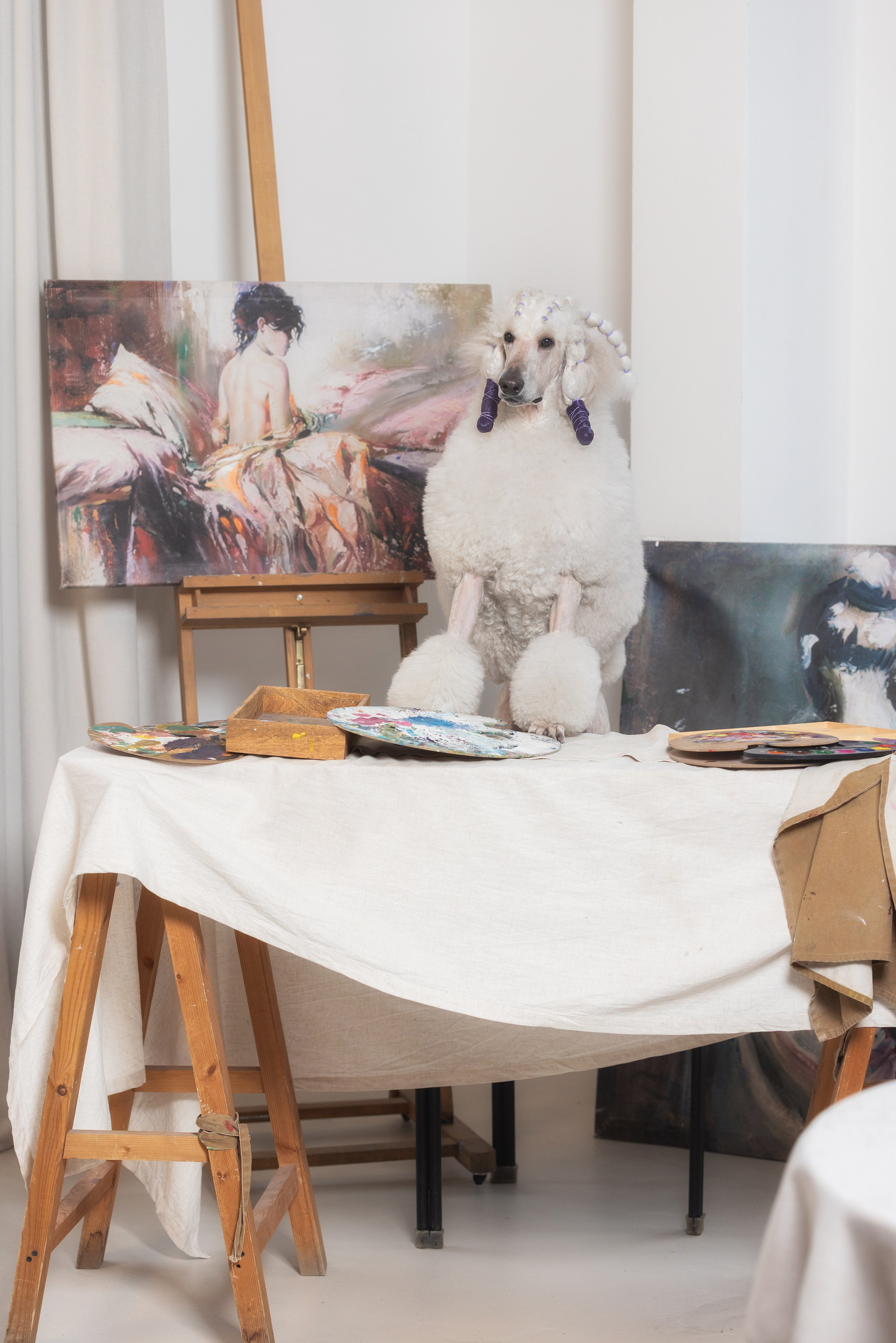 Собаки и не только. Фотограф Алена Звездина