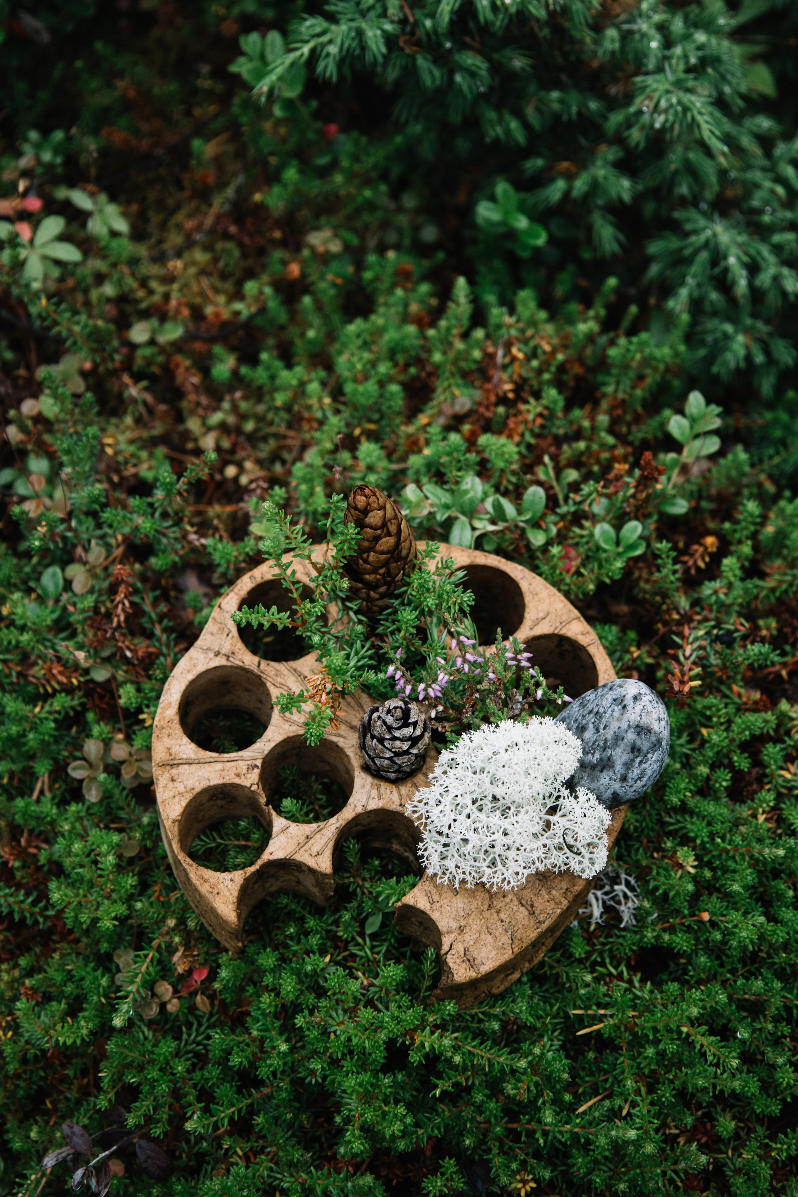 Спортивная фотосъемка, яхтинг, фотосъемка. Фотограф Ольга Че