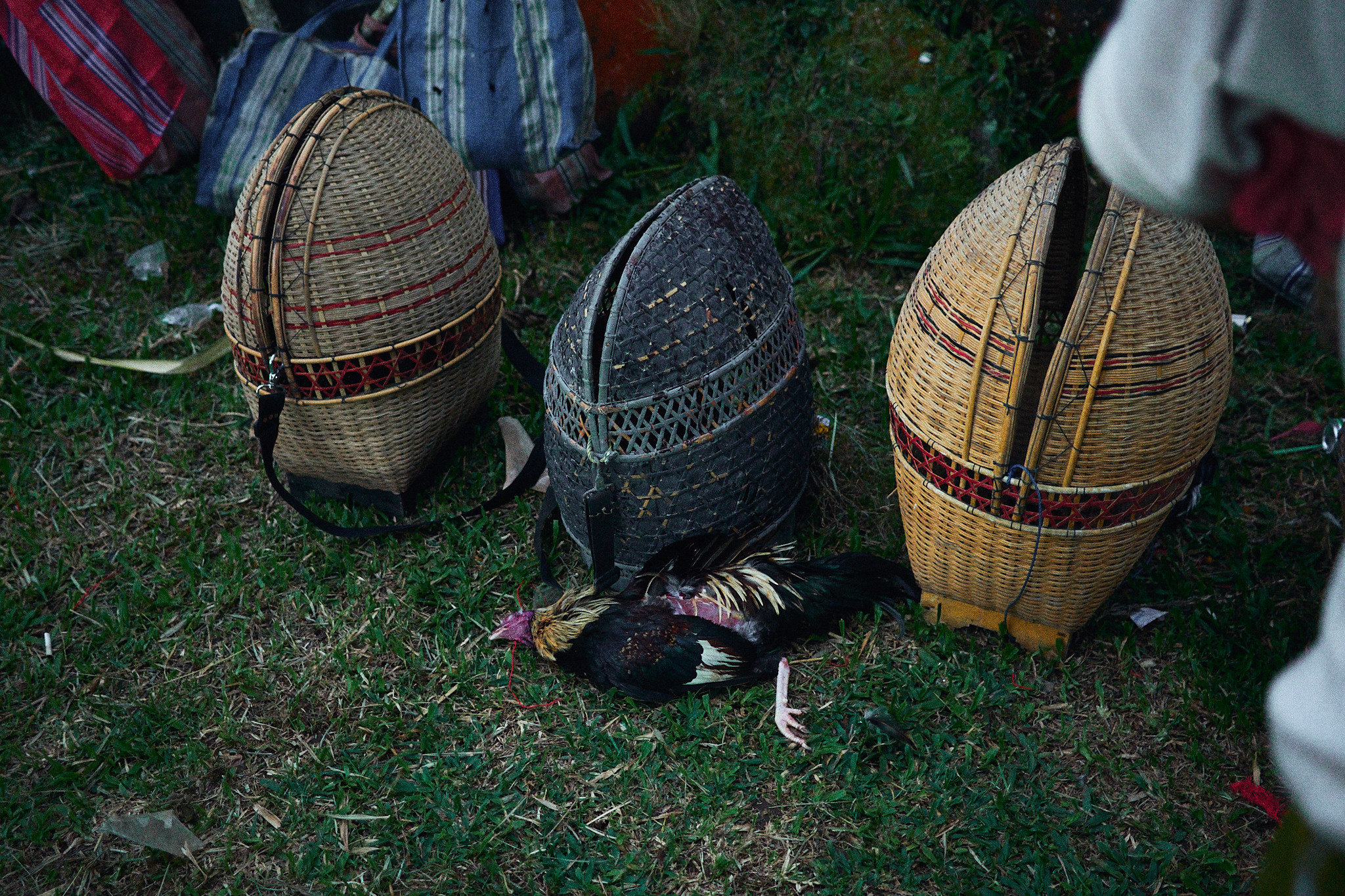 Balisvetka. See the moment and catche. commercial and reportage