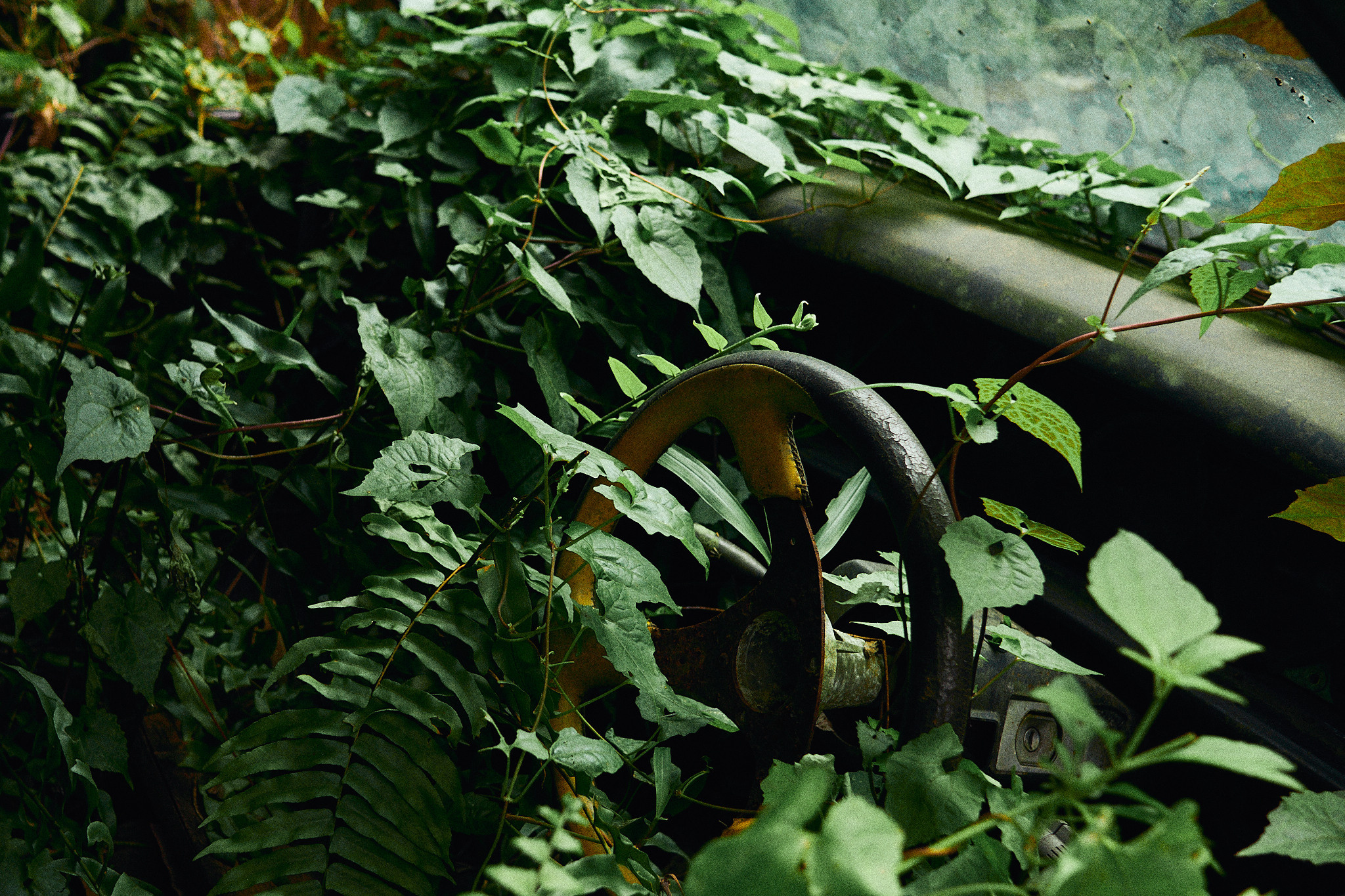 Balisvetka. See the moment and catche. commercial and reportage