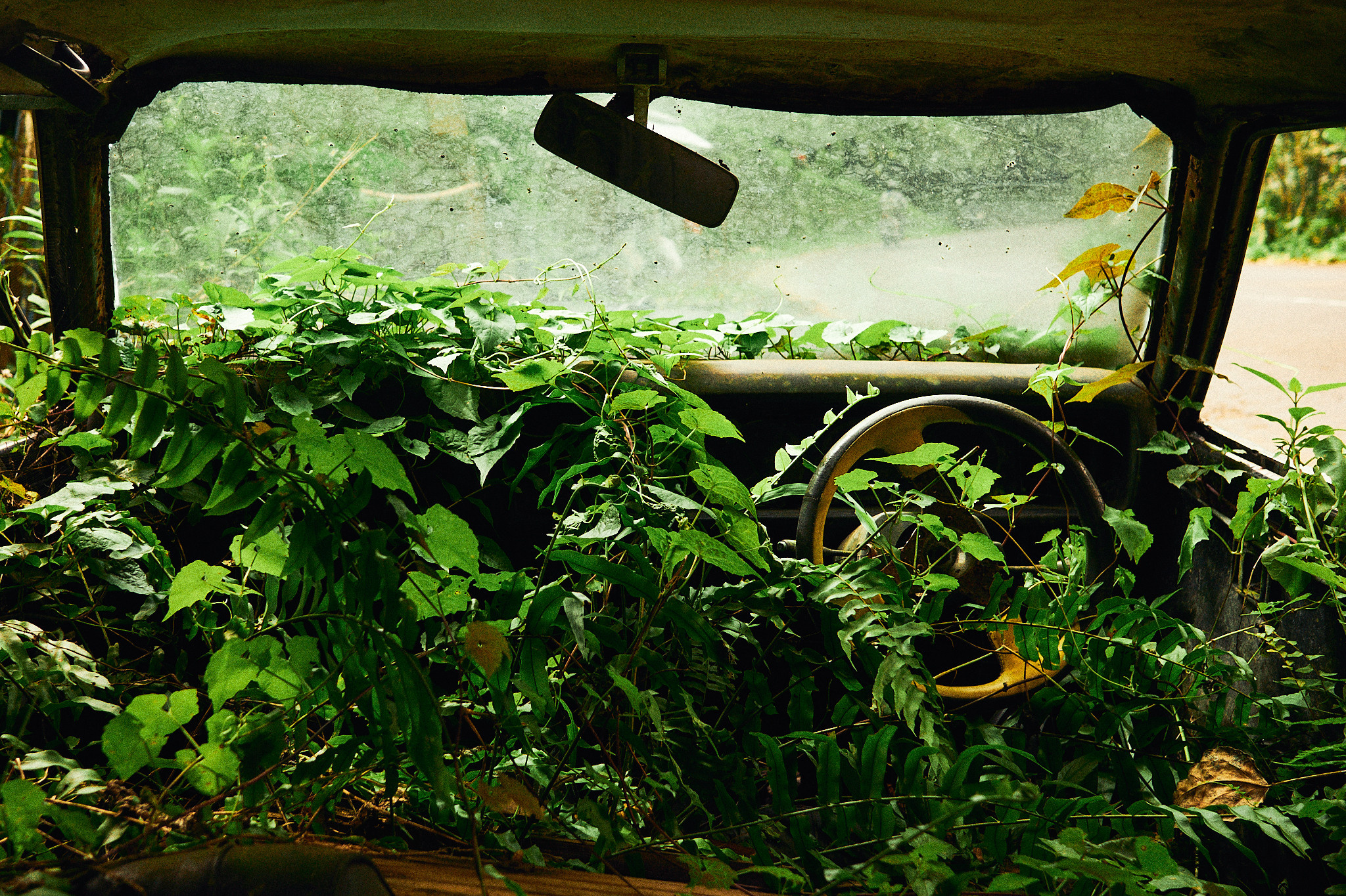 Balisvetka. See the moment and catche. commercial and reportage