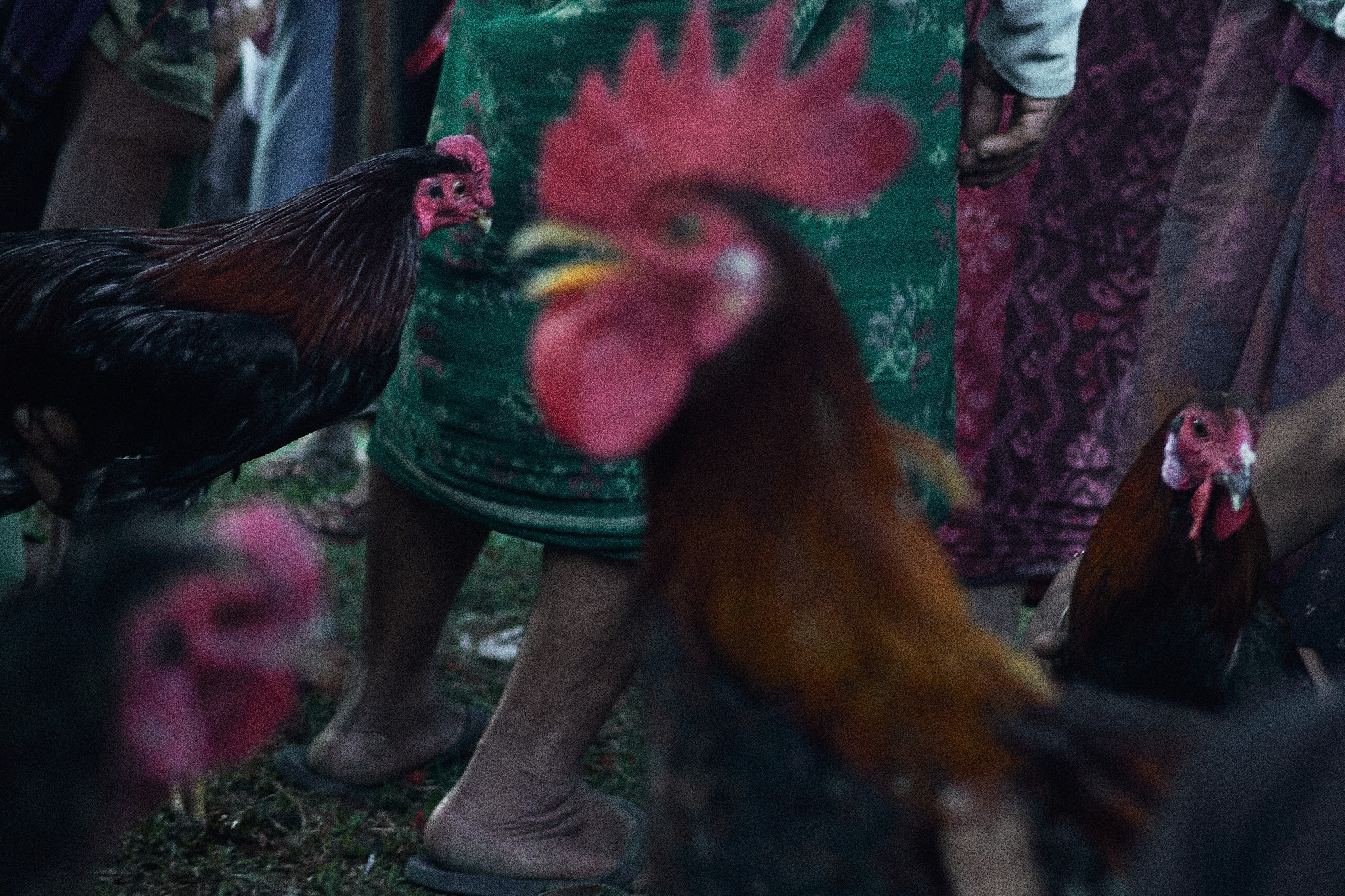 Balisvetka. See the moment and catche. commercial and reportage