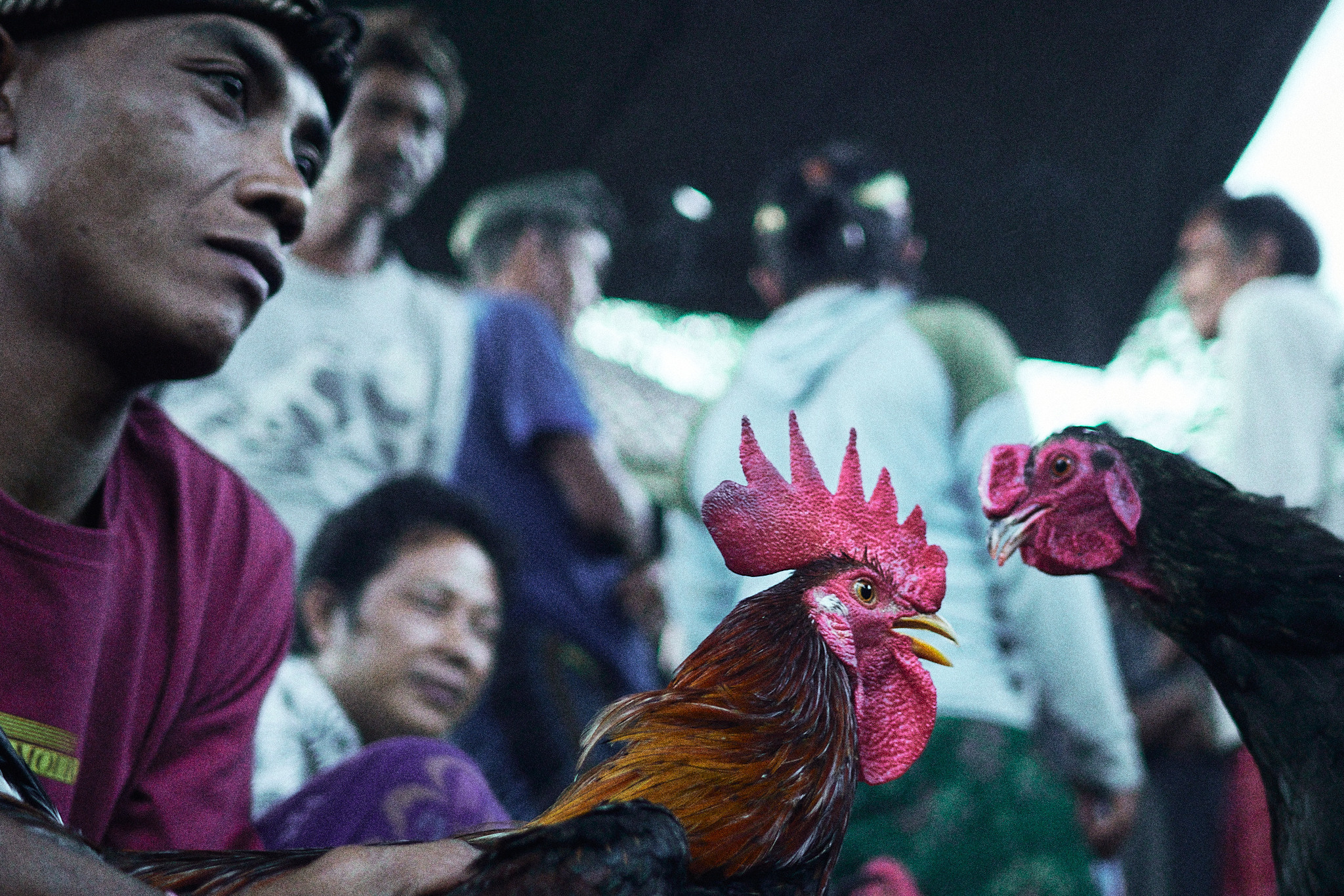 Balisvetka. See the moment and catche. commercial and reportage