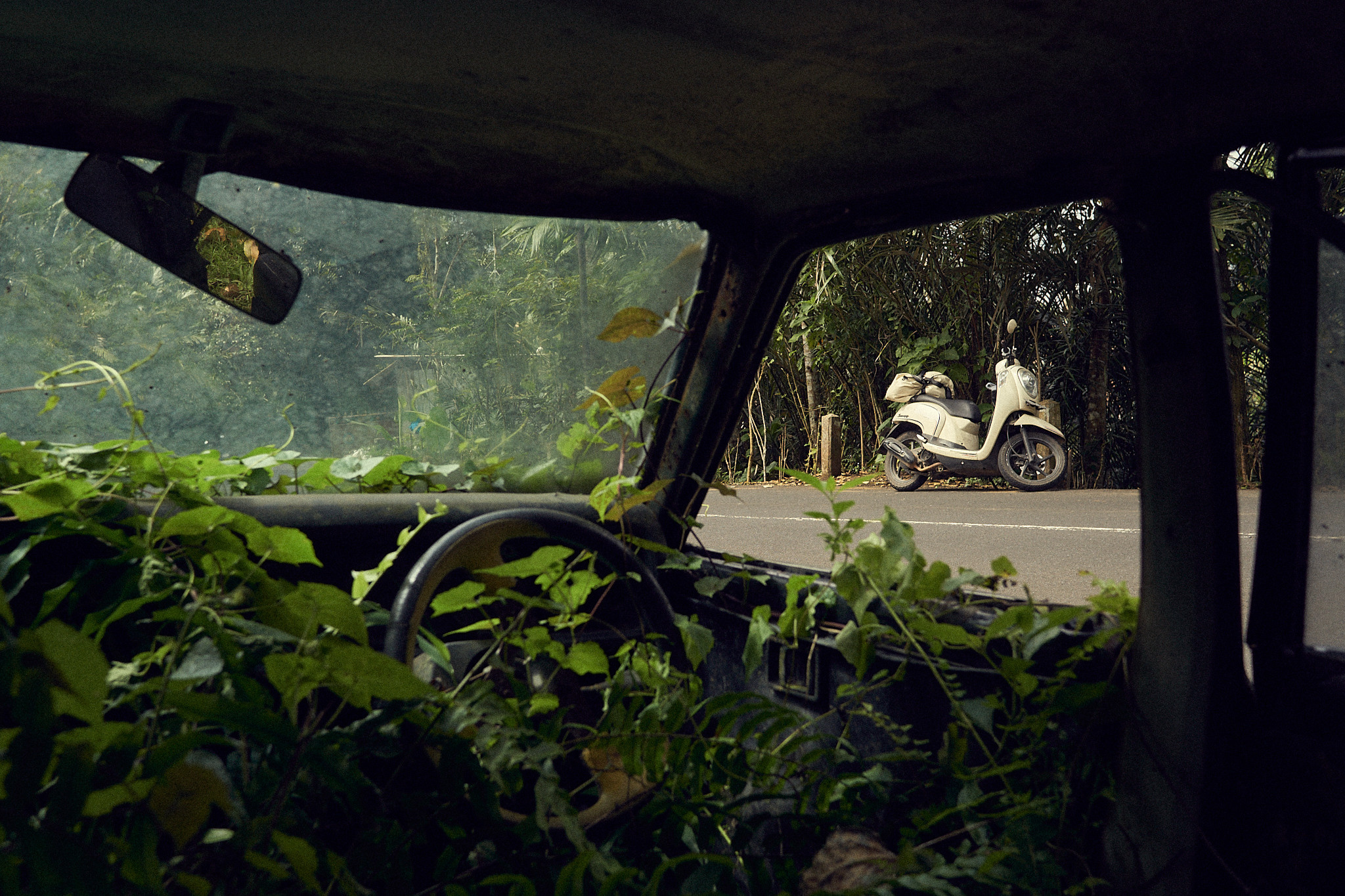 Balisvetka. See the moment and catche. commercial and reportage