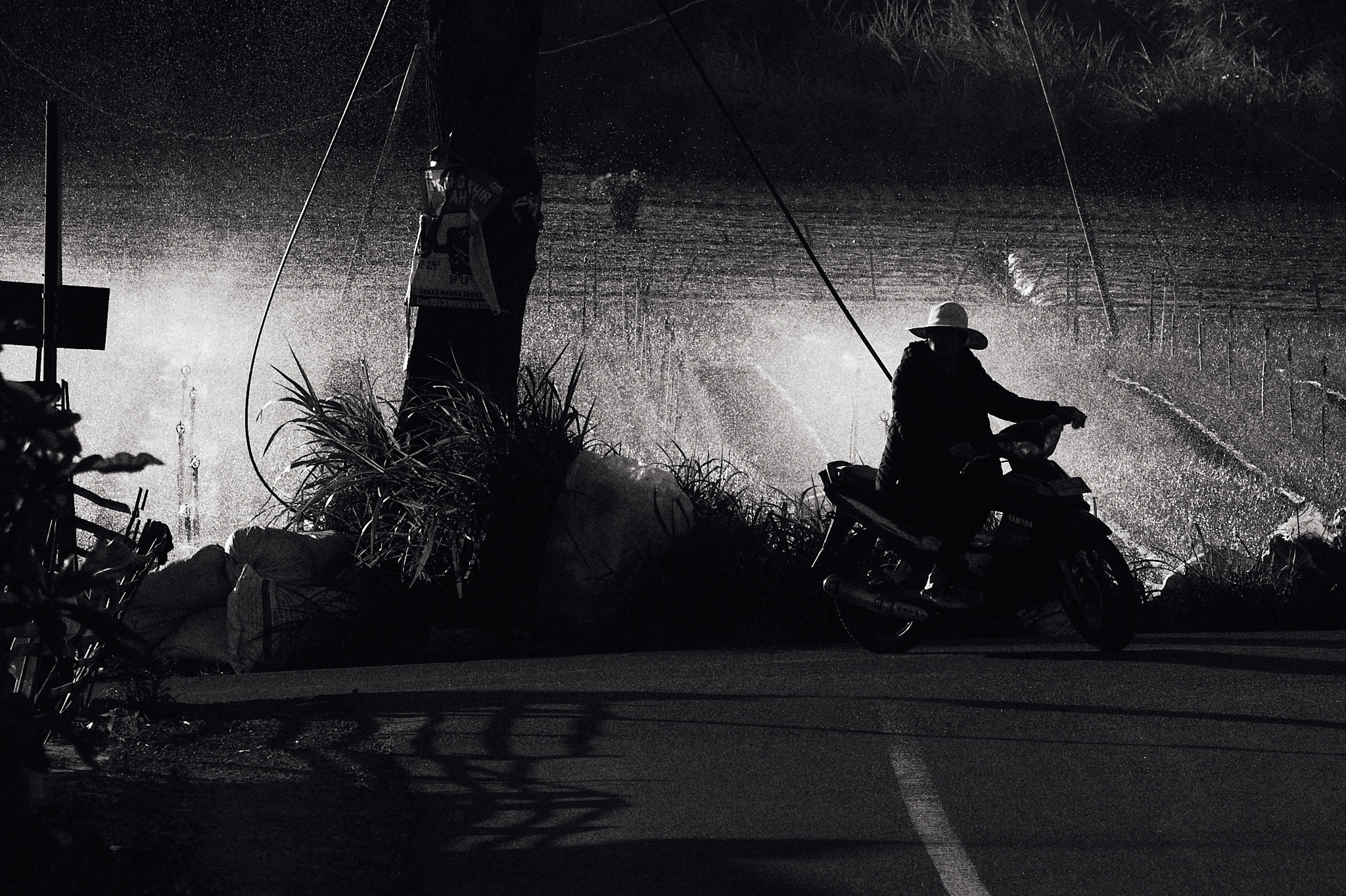 Balisvetka. See the moment and catche. commercial and reportage