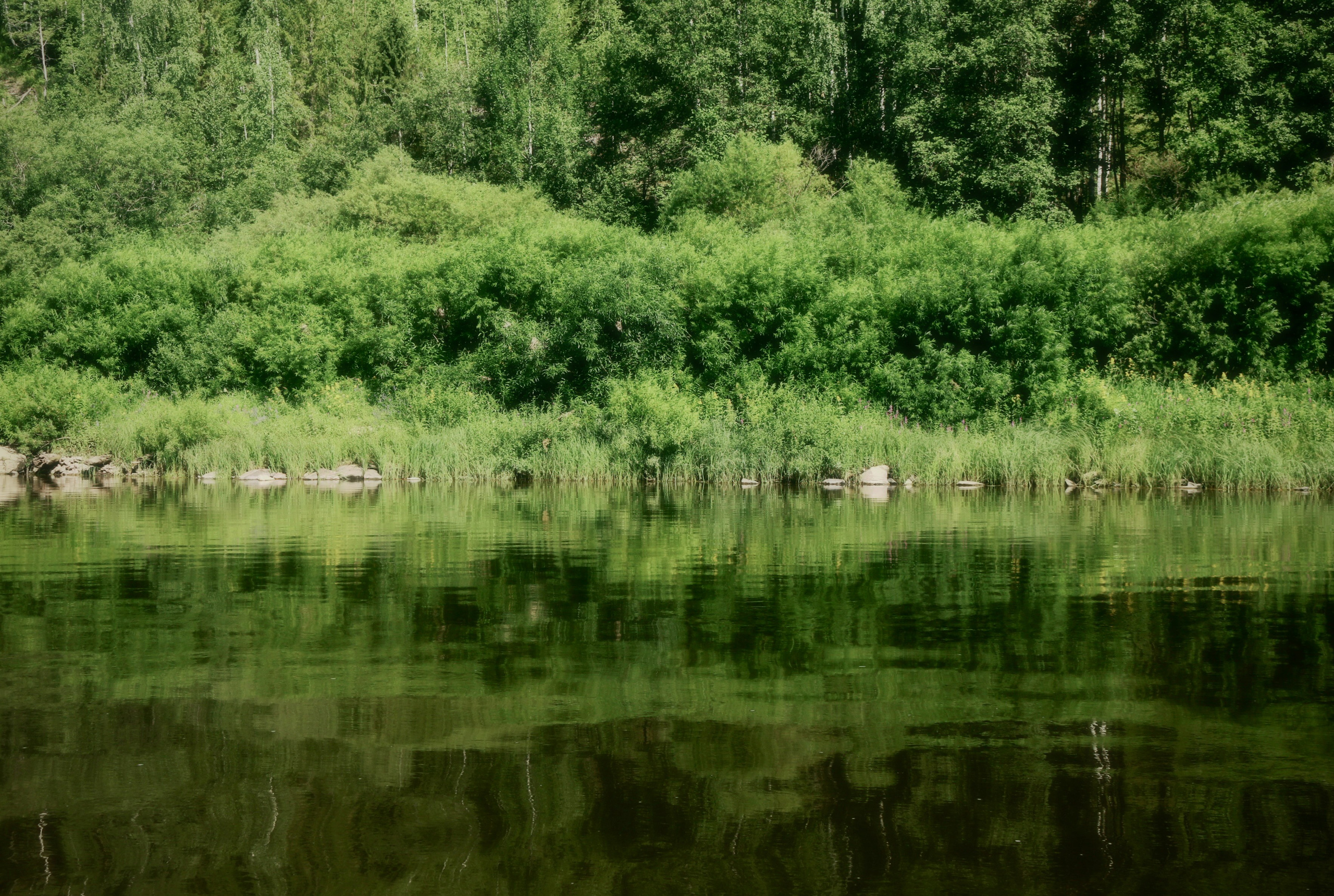 Сплав Амазонок. VITA · visual therapy arts