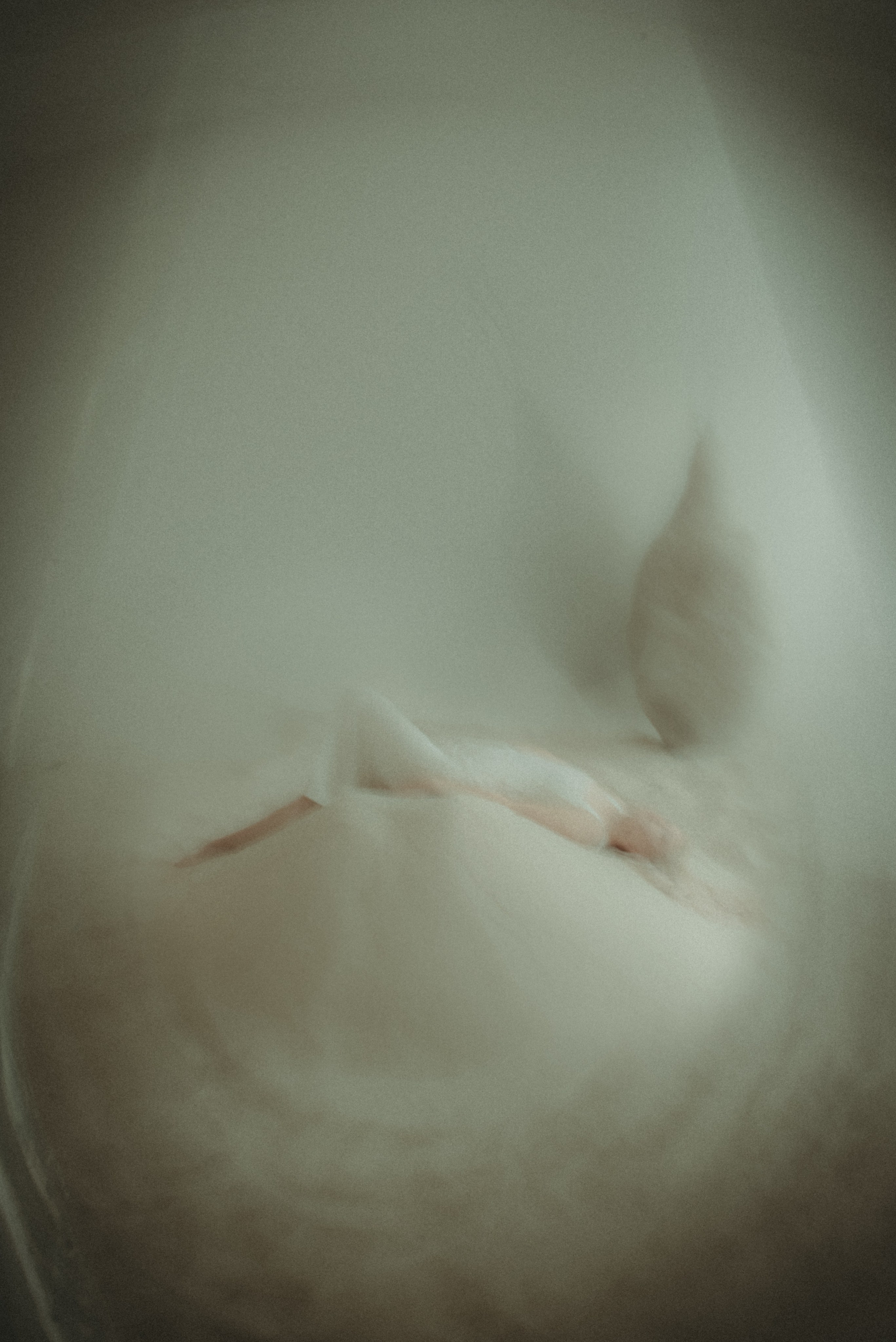 Медодия. Фотограф Крещение Венчание Москва