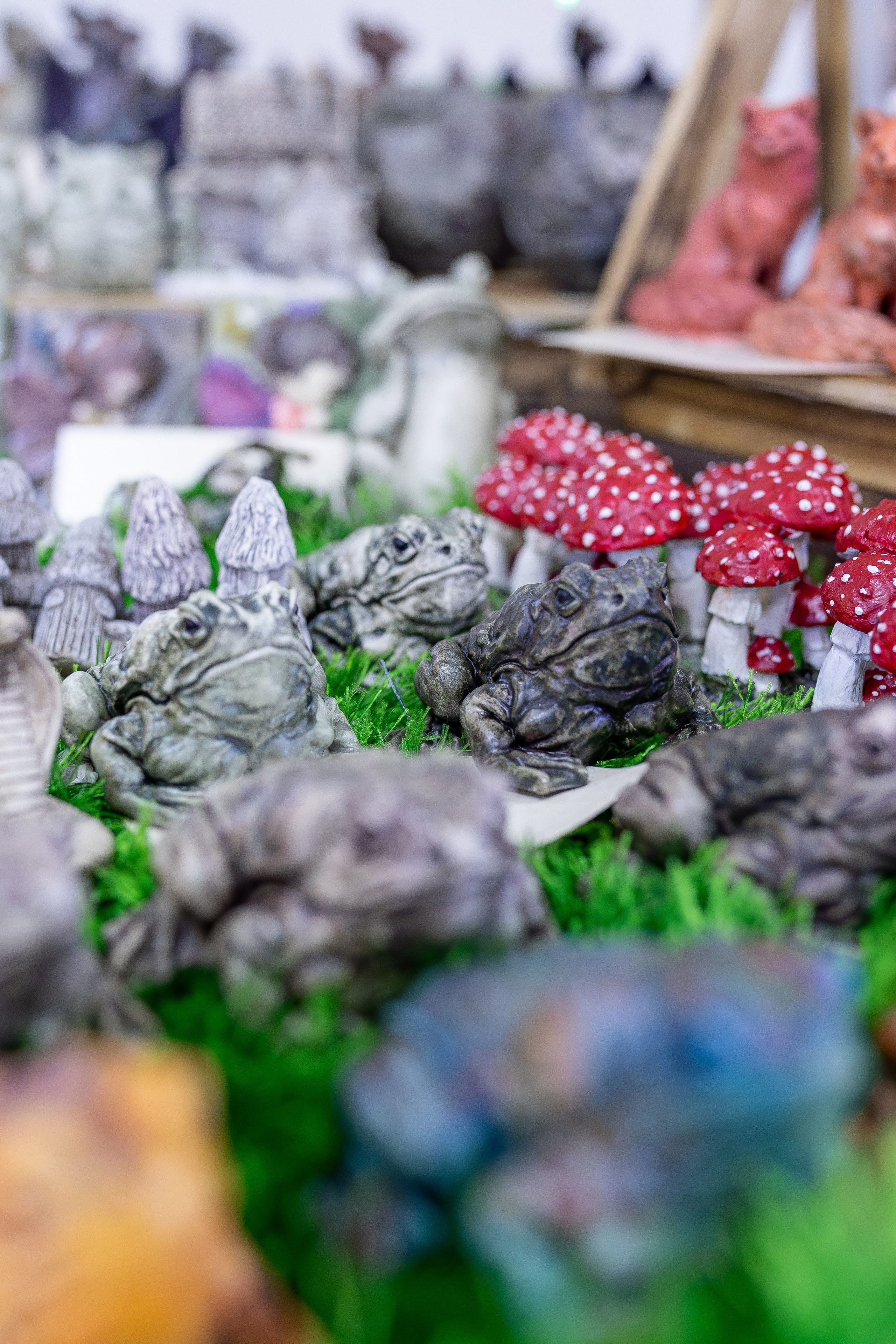 Орхидиум 12.2025. Александра Куликова фотограф, Москва