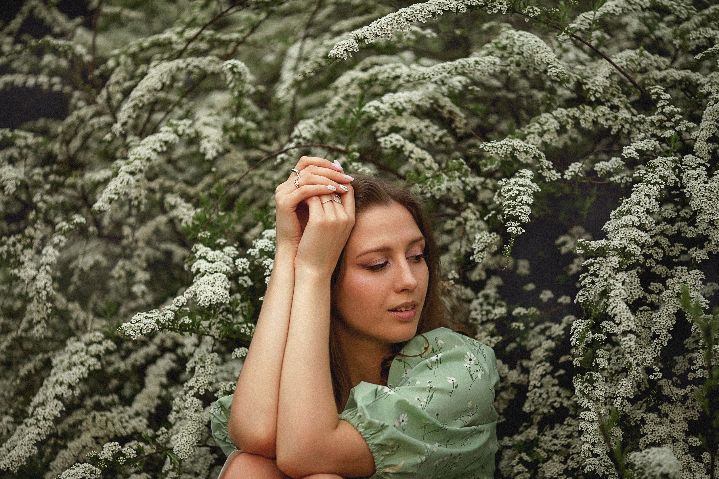 Весенняя красота. Главная