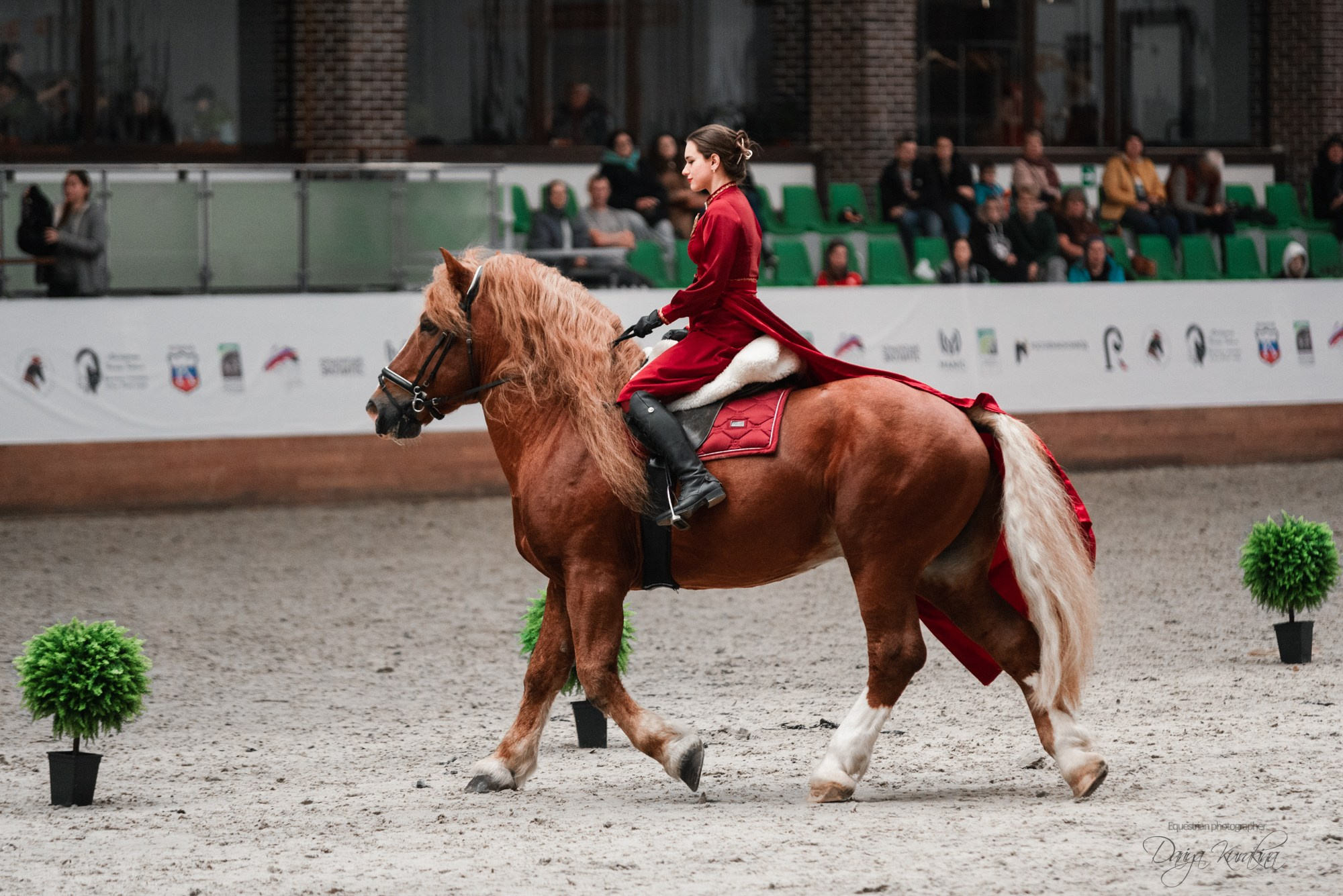 8-я международная выставка Конная Россия. Конный фотограф Куракина Дарья • Фотосессии с лошадьми