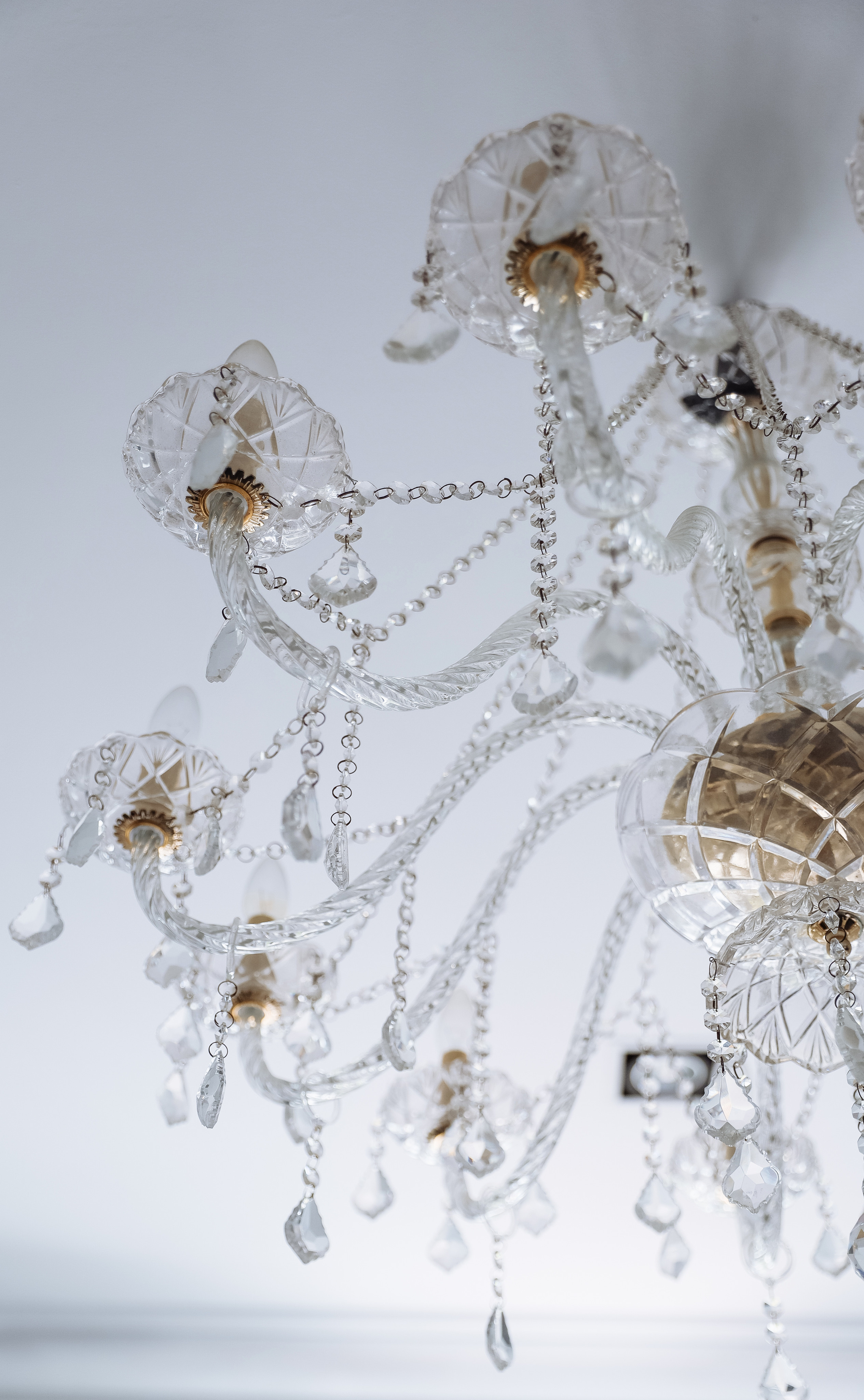 Родион & Маргарита. Свадебный фотограф Ольга Гречко