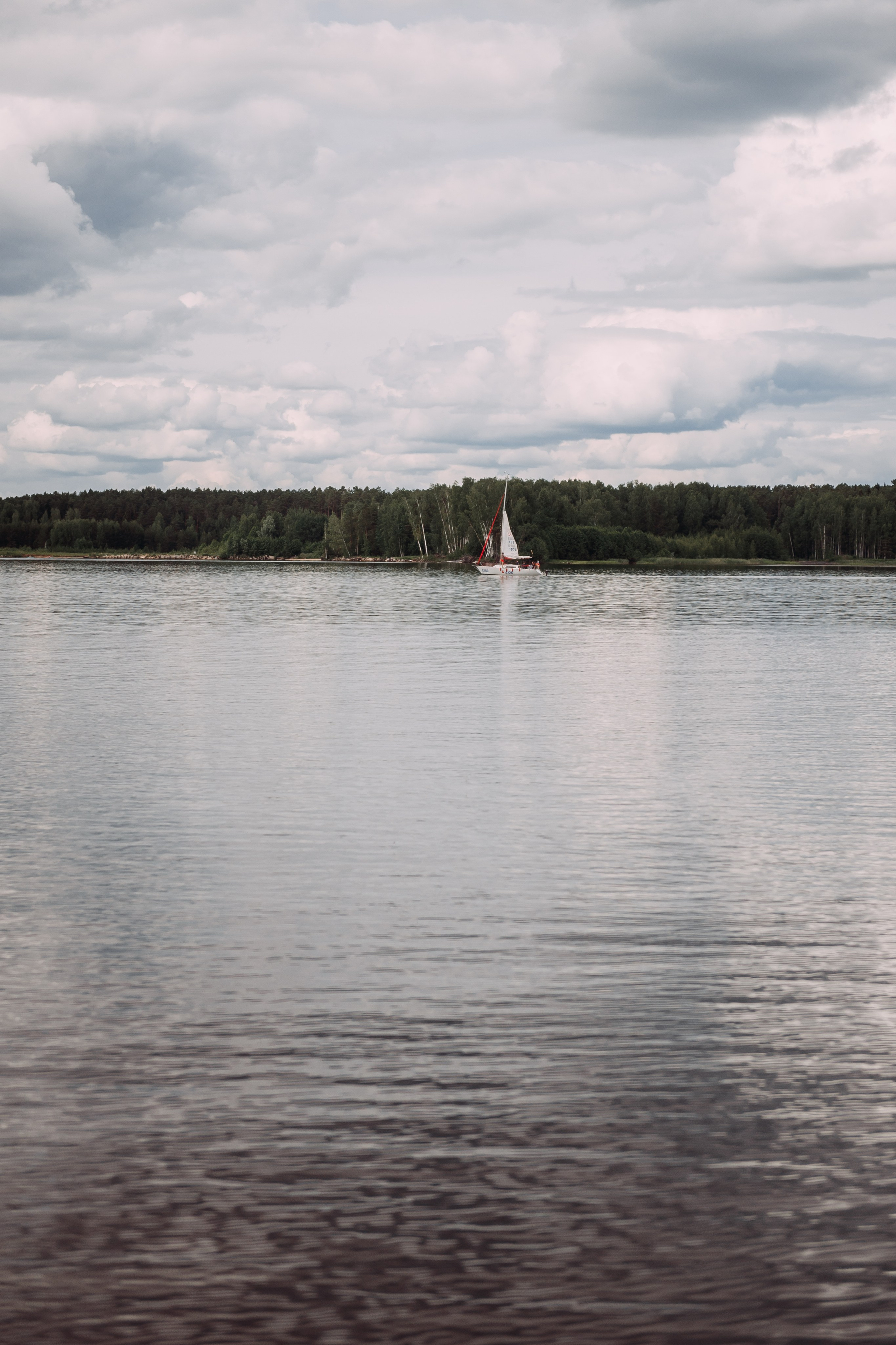 Полина & Сережа. Свадебный фотограф Алёна Замотаева