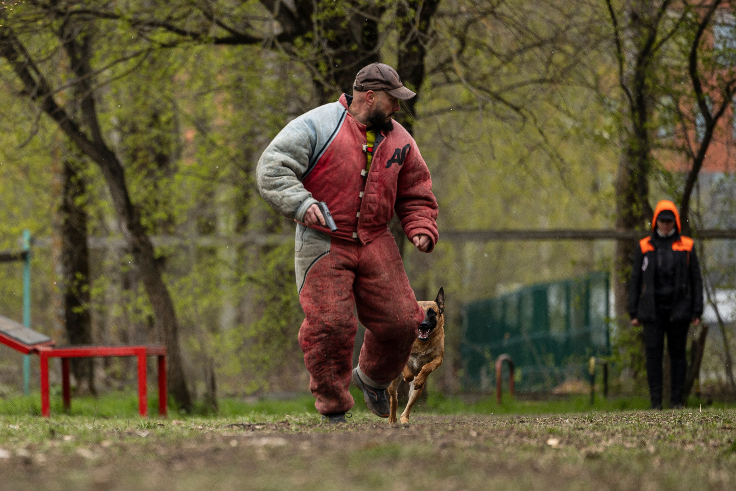 Квалификационные состязания по мондьорингу г. Вологда 11.05.24. Фотограф-анималист Анна Маринич