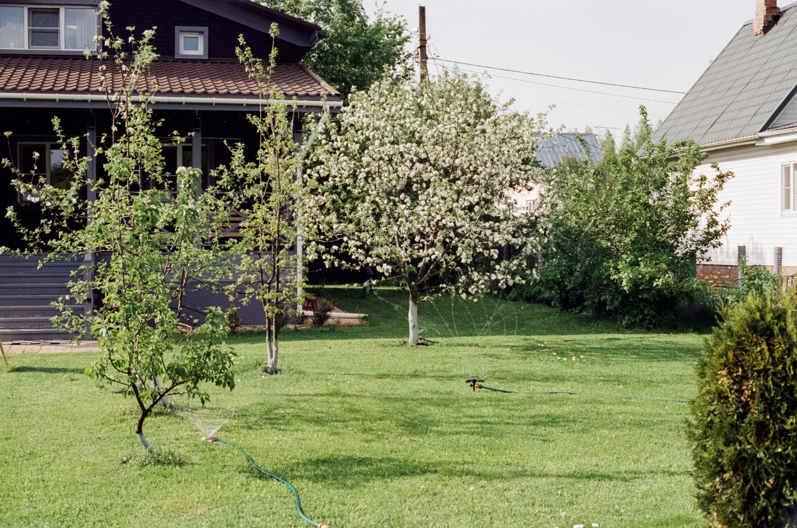 Nikon F100 — Micro-Nikkor-P.C Auto 55 mm f3.5 | май 2025 года | Давыдовское