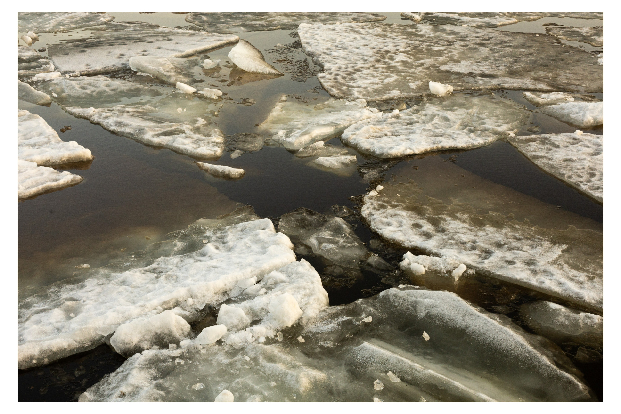 Пейзажи. Привет, я Лиза, я  занимаюсь портретной фотографией всех направлений в Санкт-Петербурге