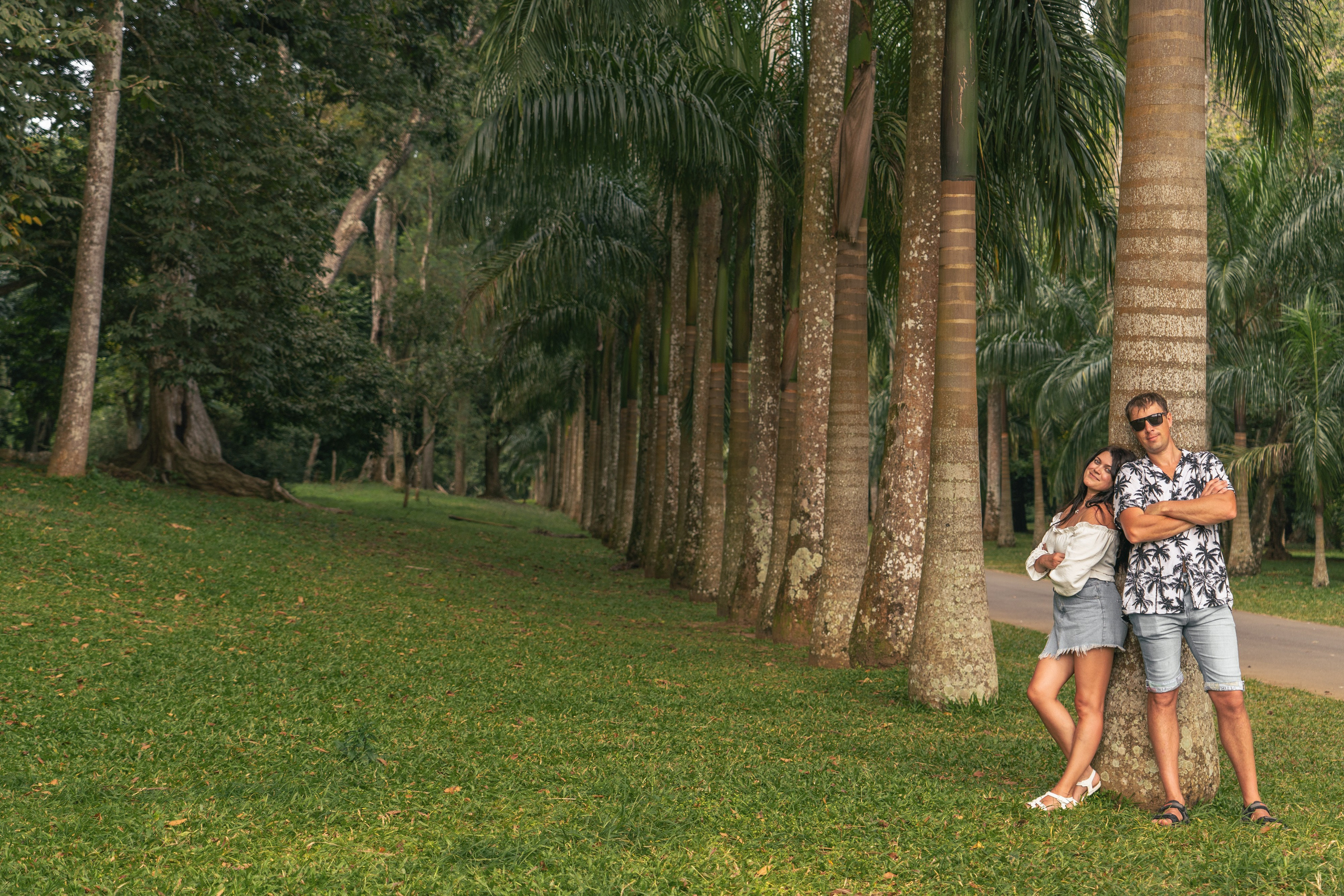 Bathing with elephants in Pinnawala, Botanical Garden
