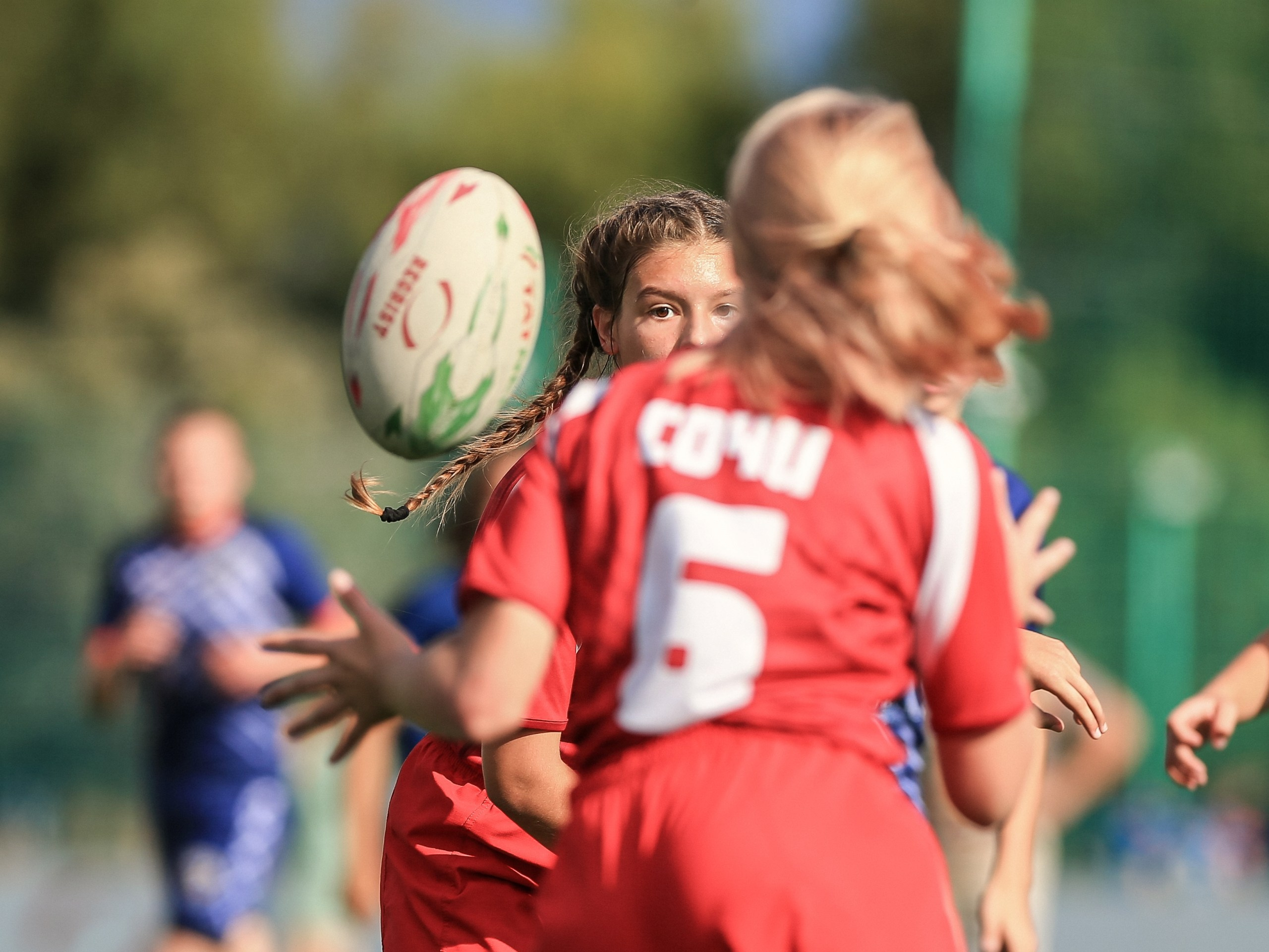 Краса регби