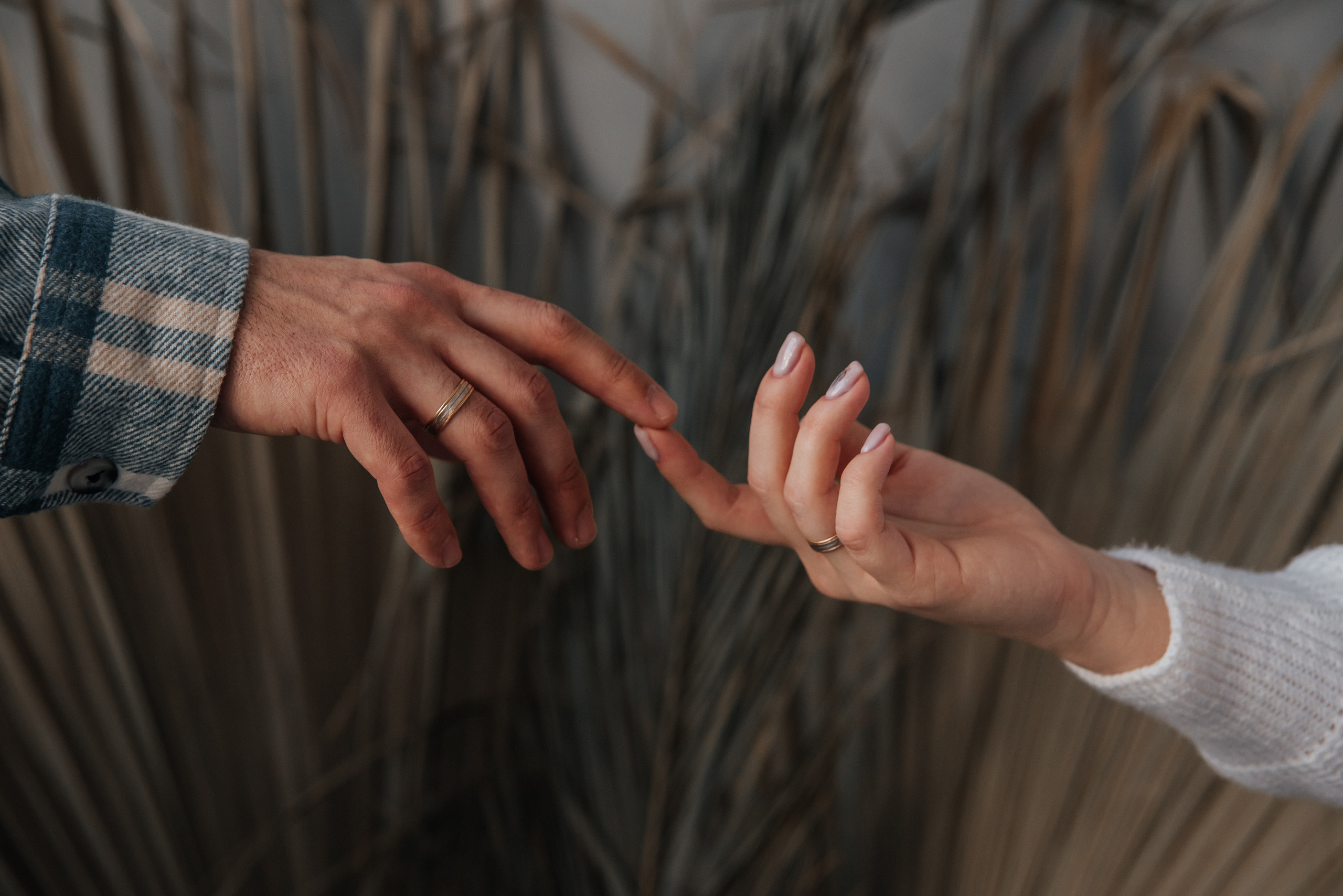 Дима и Таня. Свадебный и семейный фотограф в городе Смоленске