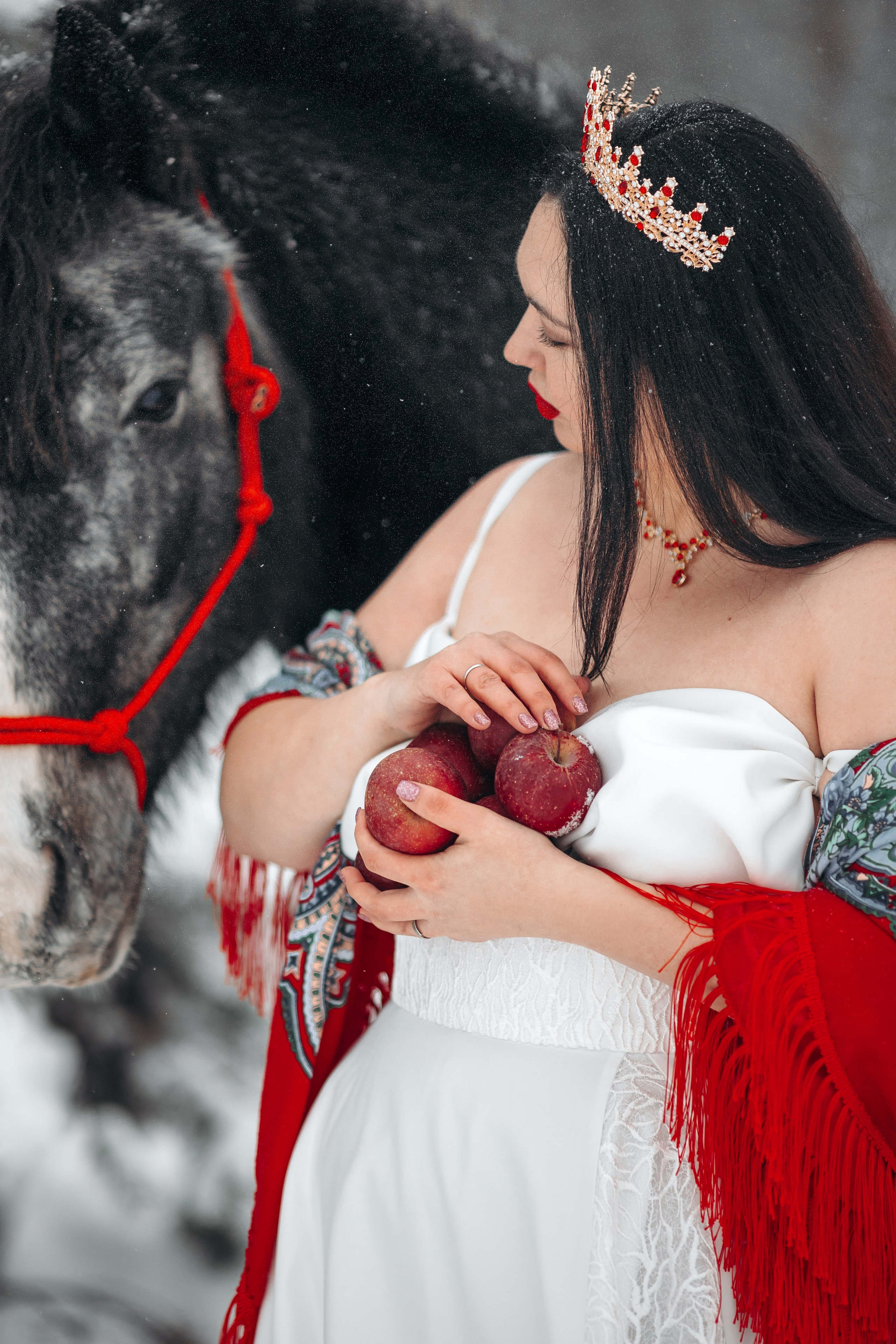 Яблоки на снегу. Анна Молчанова конный фотограф в Тюмени | фотосессии с лошадьми Тюмень