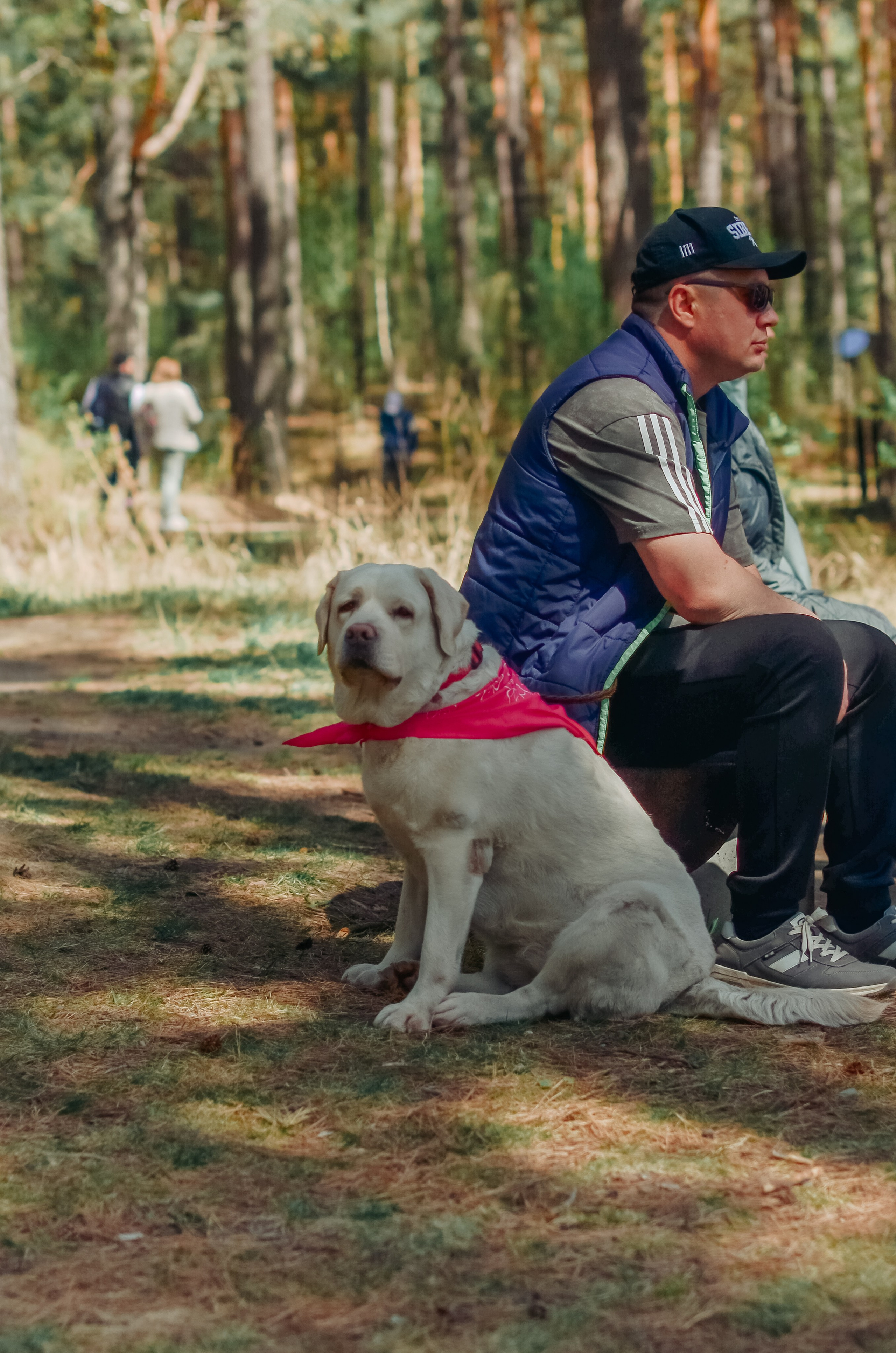 Фестиваль «Цветение Маральника на Алтае 2025». Фоторепортаж. Денисова Аля — фотограф для парных съемок и индивидуальных историй в Барнауле