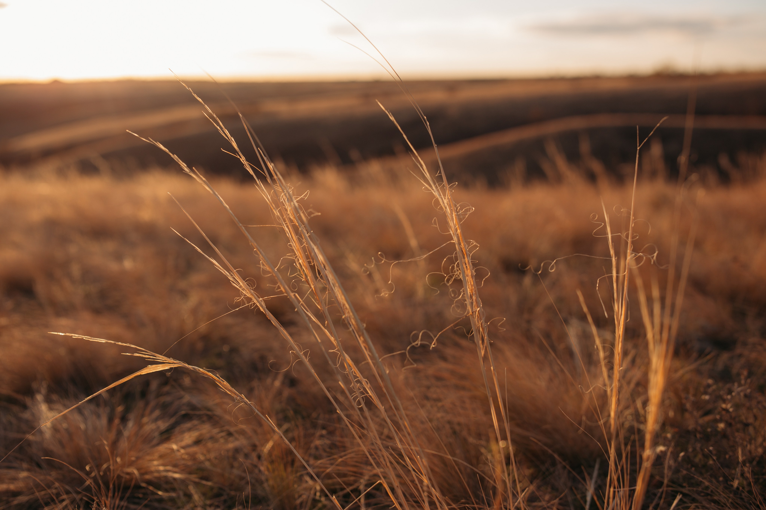 Мила. Семейный фотограф в Волгограде Надежда Головко