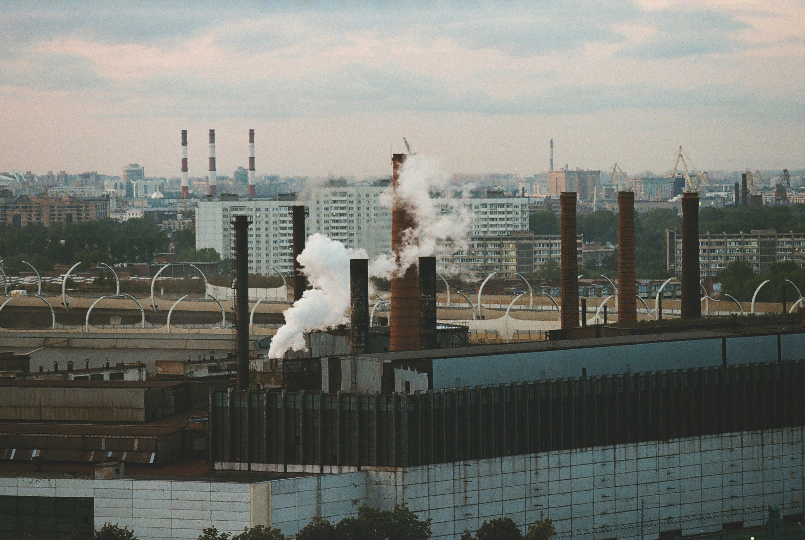 Фотографии цветные. Свадебный и семейный пленочный фотограф в Петербурге Истомина Ирина