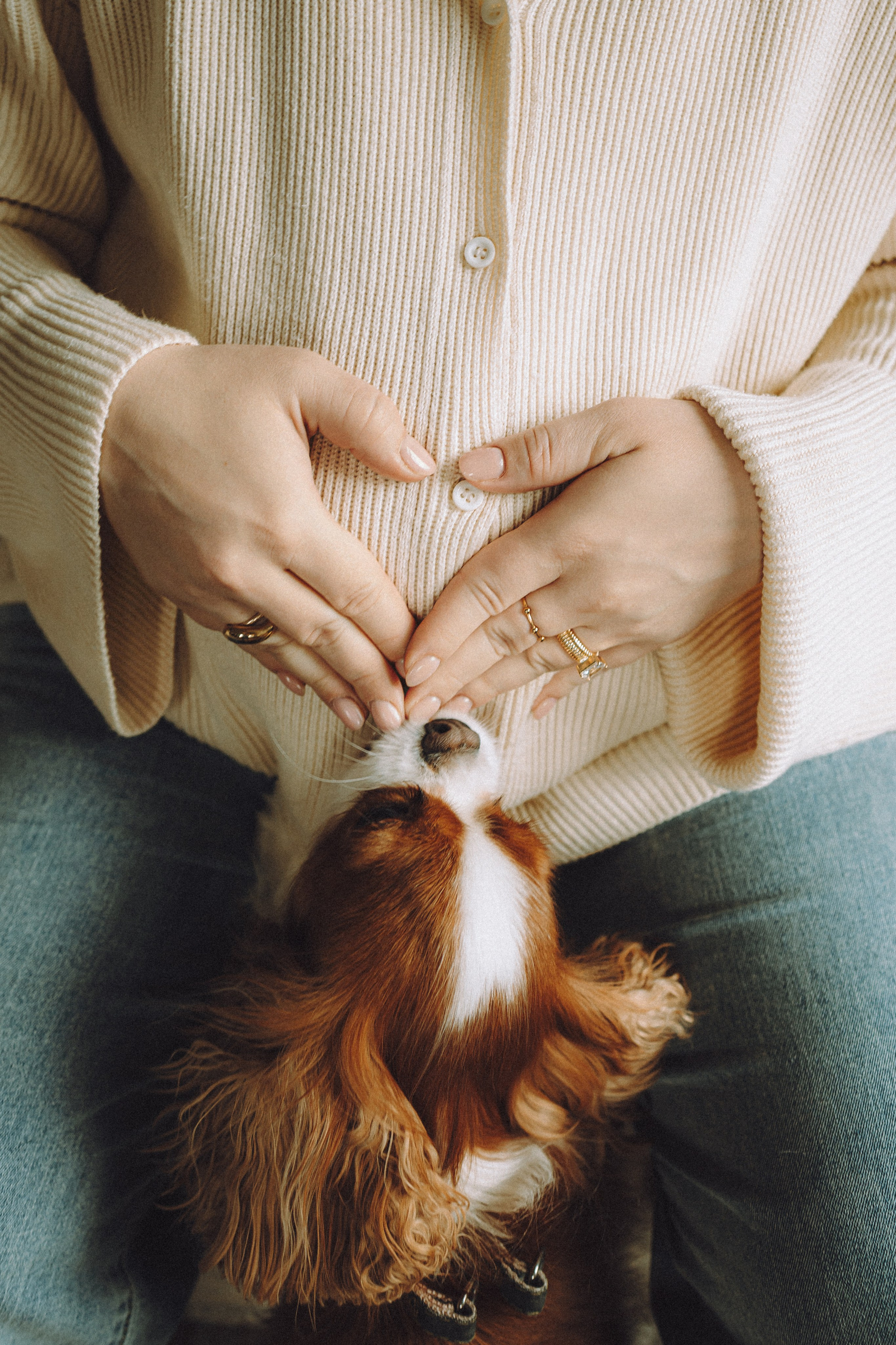 Валя, Вася, Аня и Ириска