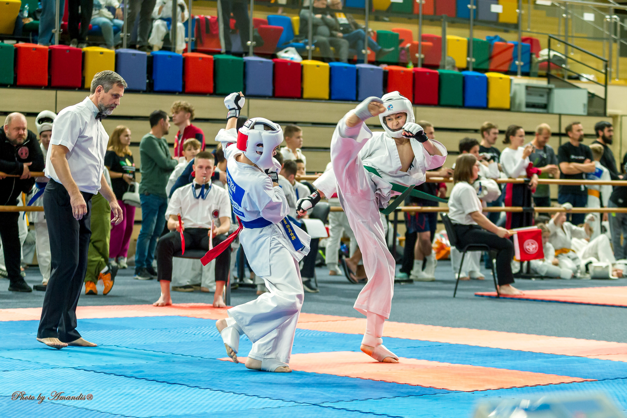 Первенство Московской области по Киокушин в СК «Жаворонки». Репортажная съемка в Москве и области. Анималистика