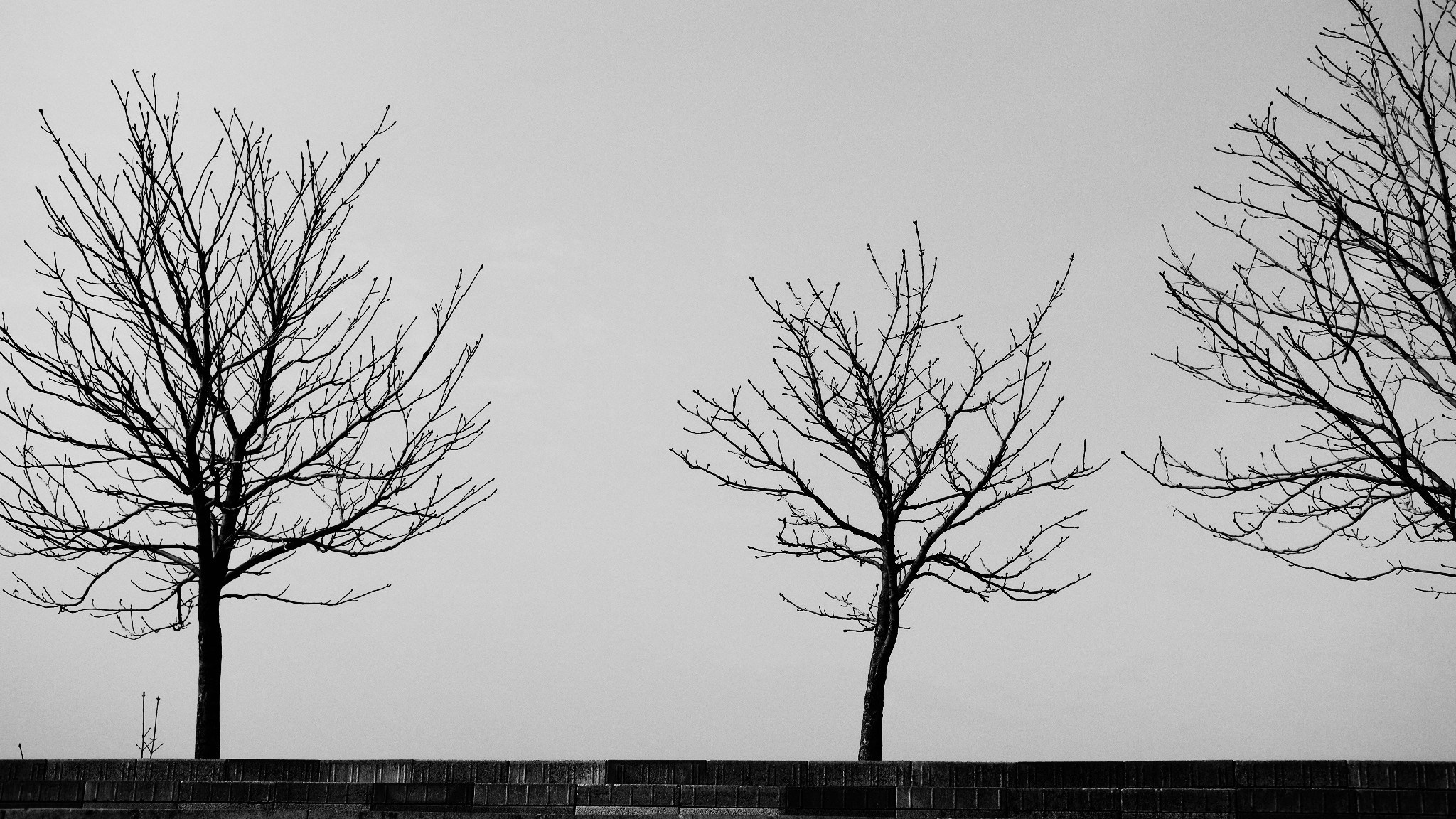 Репортажный и портретный фотограф Василиса Глухова