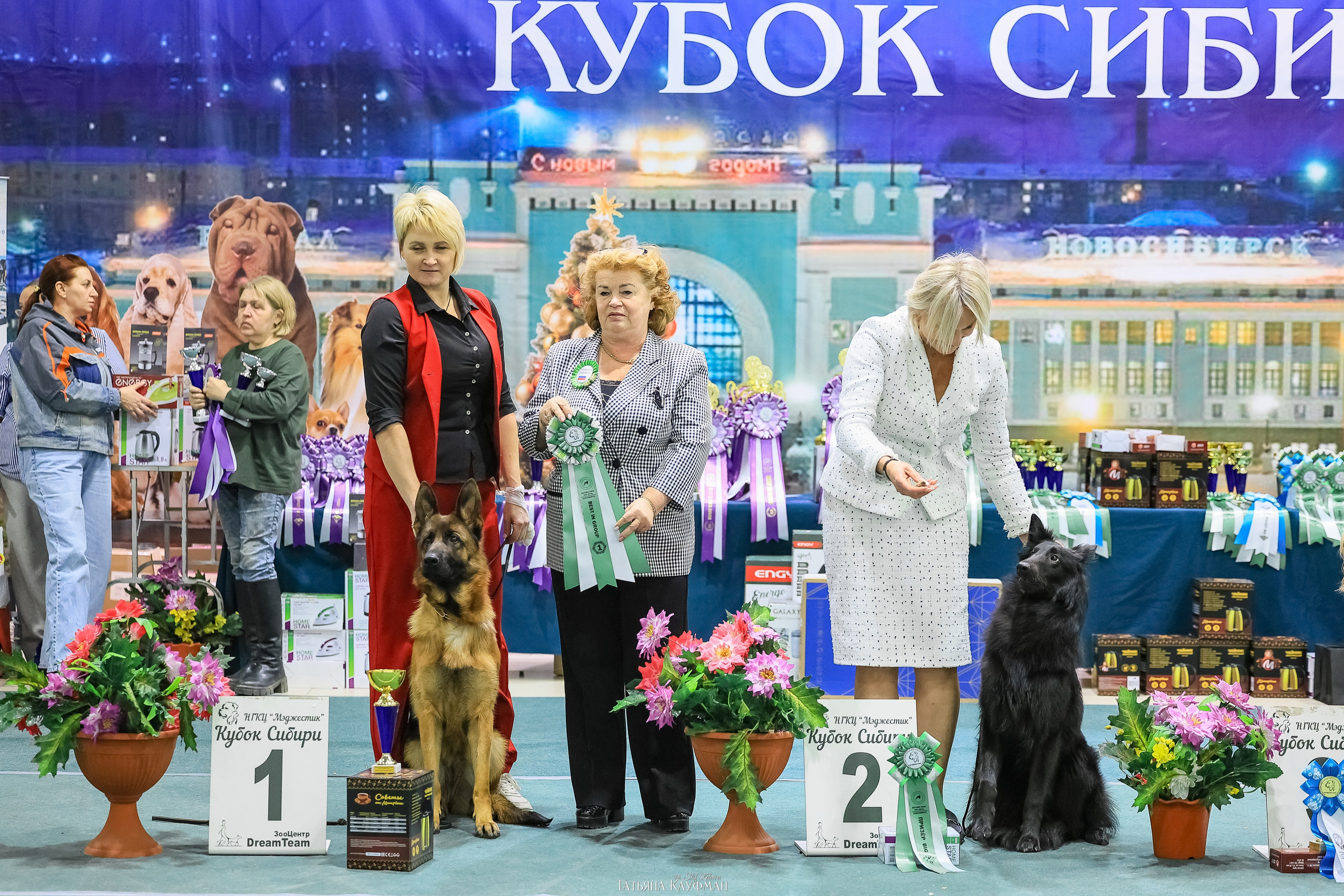 6-7.12.25 — 1-4 Национальные выставки собак в Новосибирске (2х рейтинговые). Фотограф Анималист из Новосибирска Татьяна Кауфман