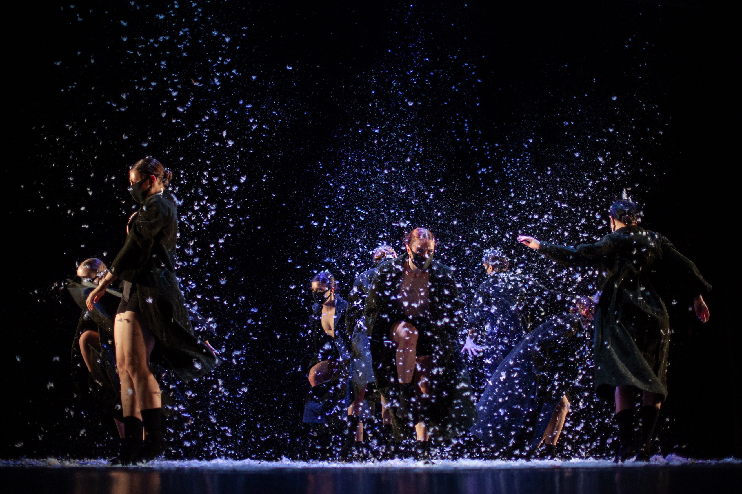 Концерты. Виолетта Скрипка