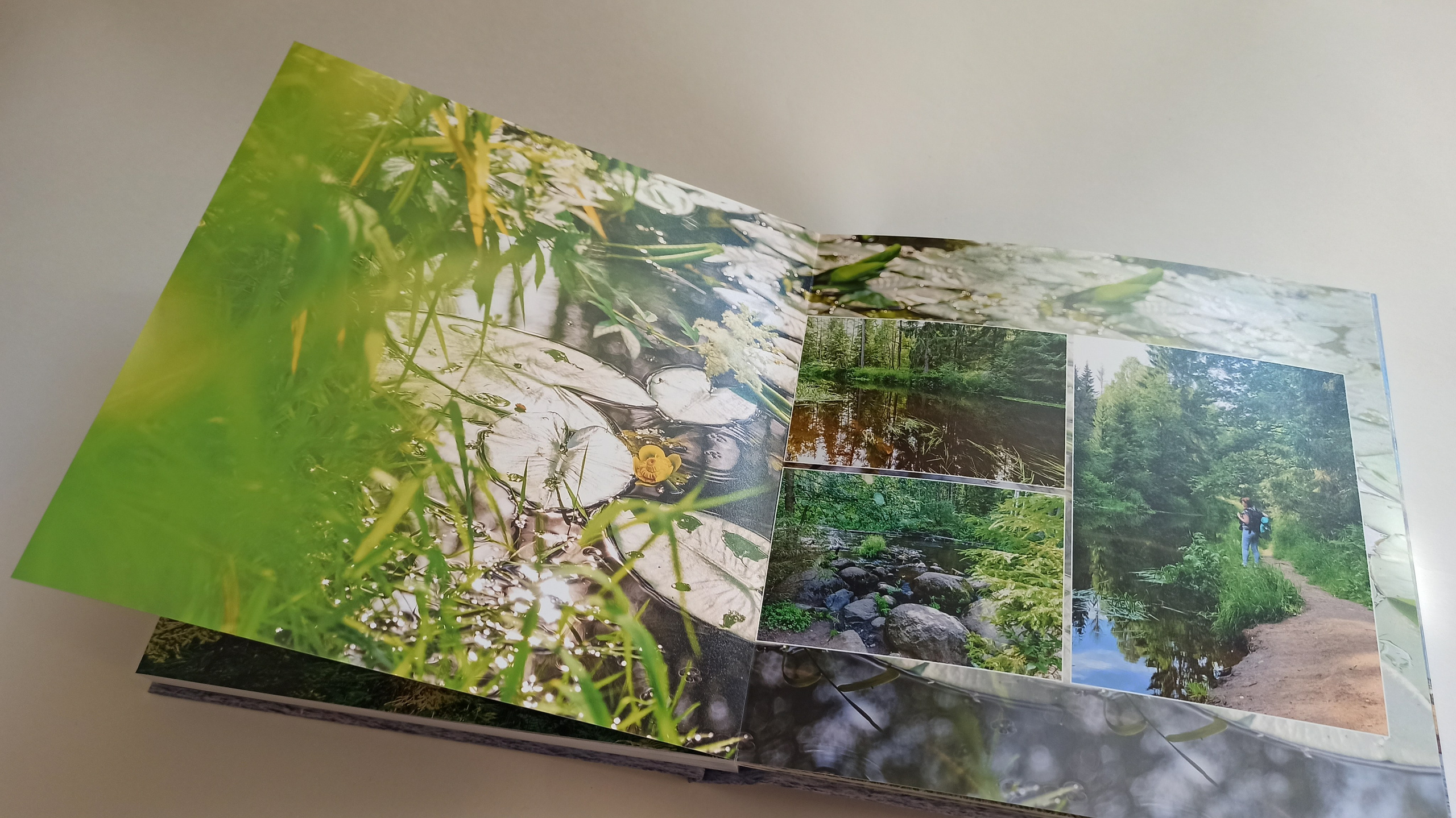 Фотокнига о поездке в Санкт-Петербург. Марина Ушакова. Фотограф. Выпускные альбомы. г. Краснодар