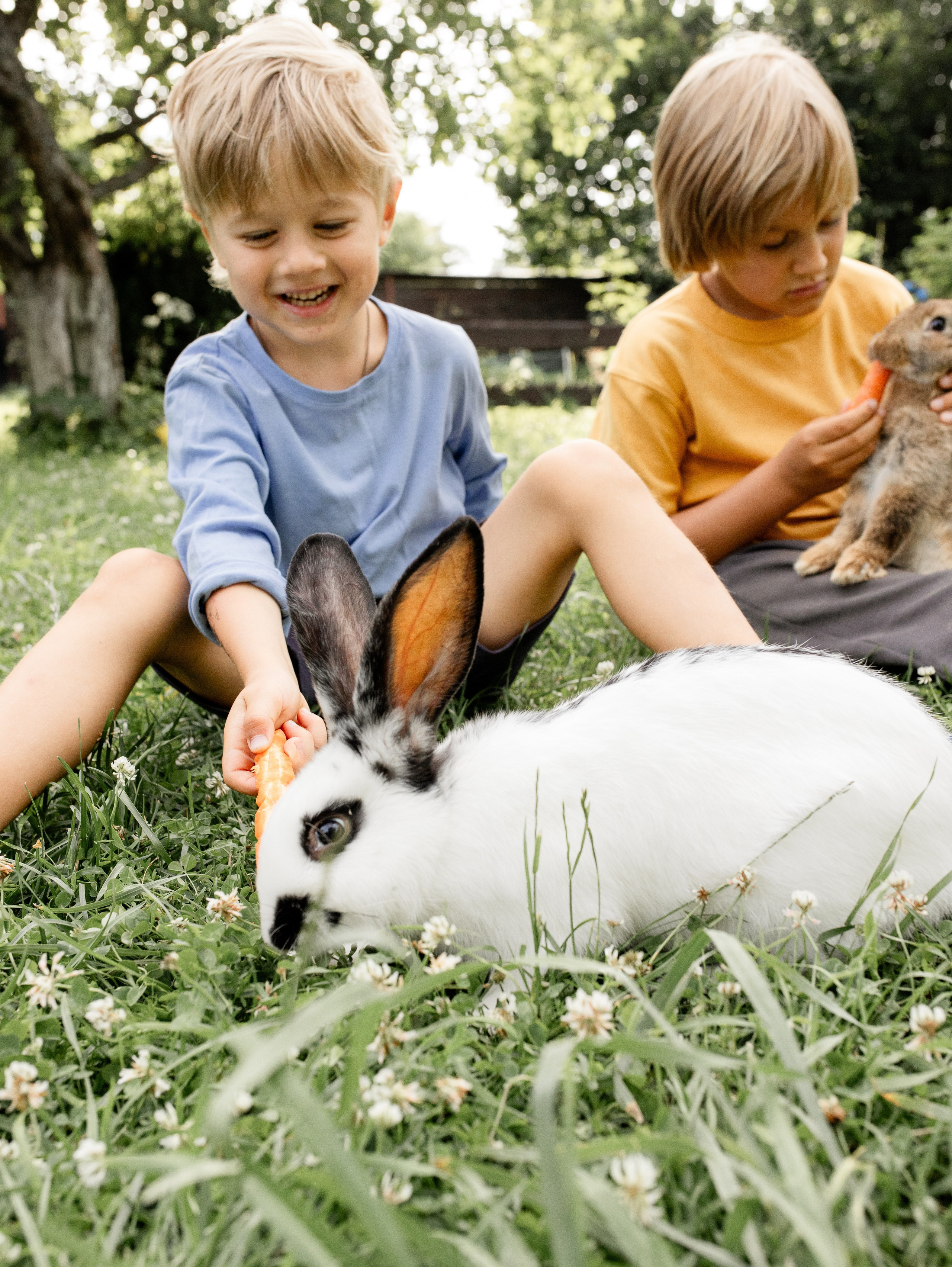 Кролики 2023. Семейный фотограф в Санкт-Петербурге Ирина Иванова