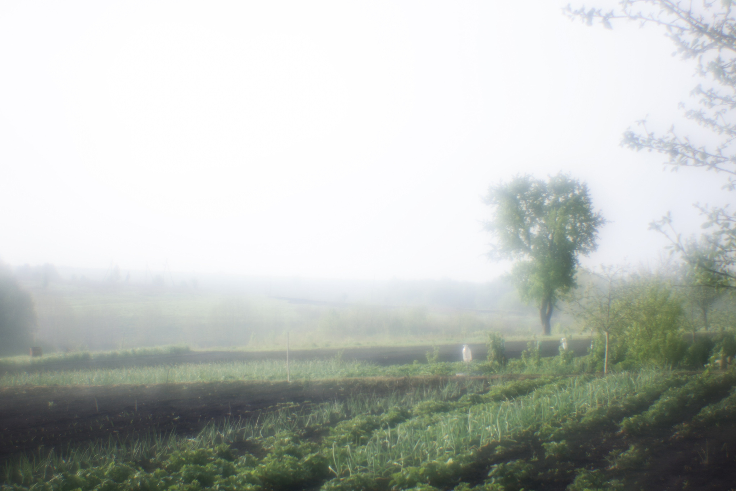 Пикториальный альбом. Семейный LIFESTYLE фотограф в Москве