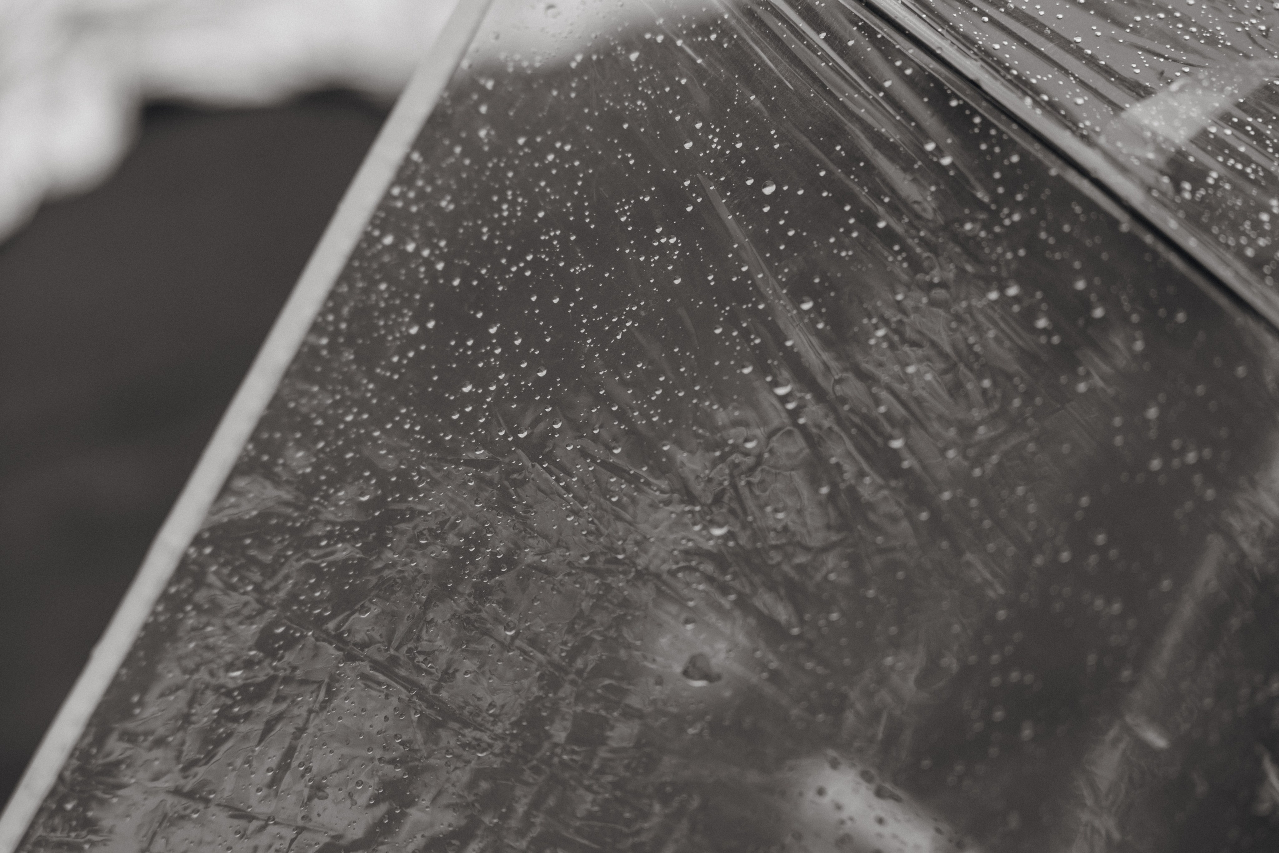 ART HOUSE. Свадебный фотограф Марусина Катерина