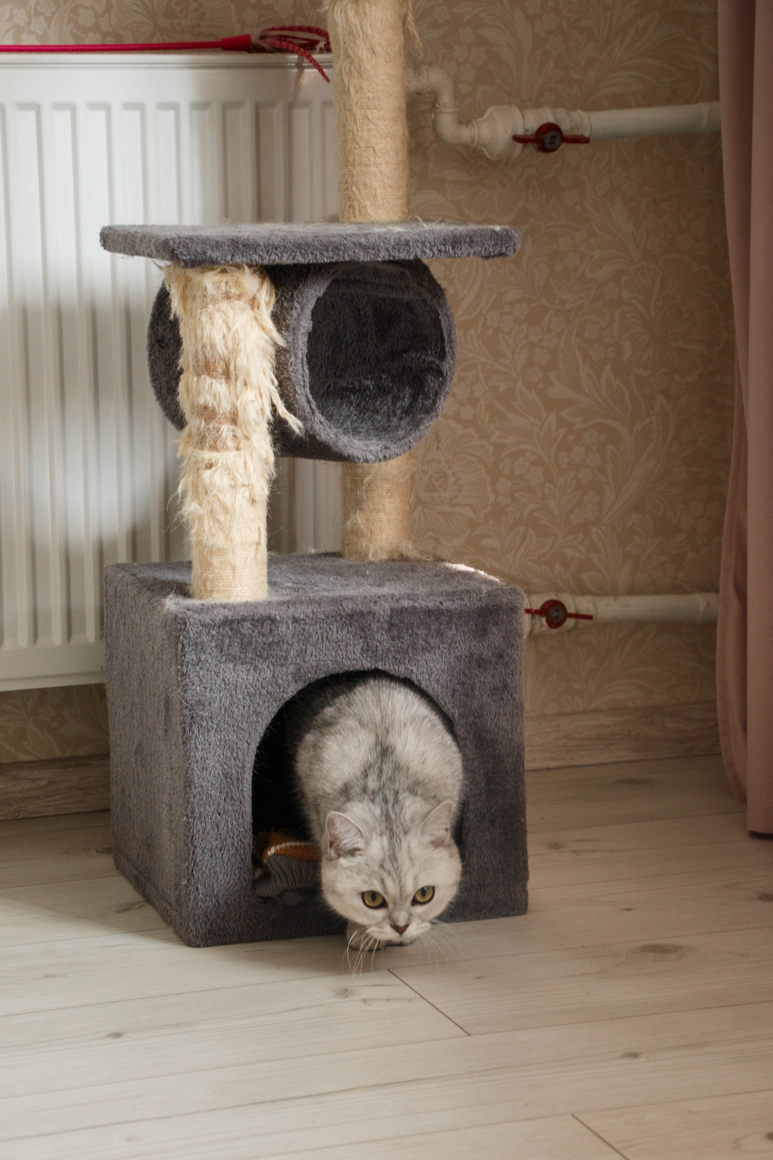 NASTYA & KITTI. Бережно сохраняю ваши чувства и истории на своих фотографиях