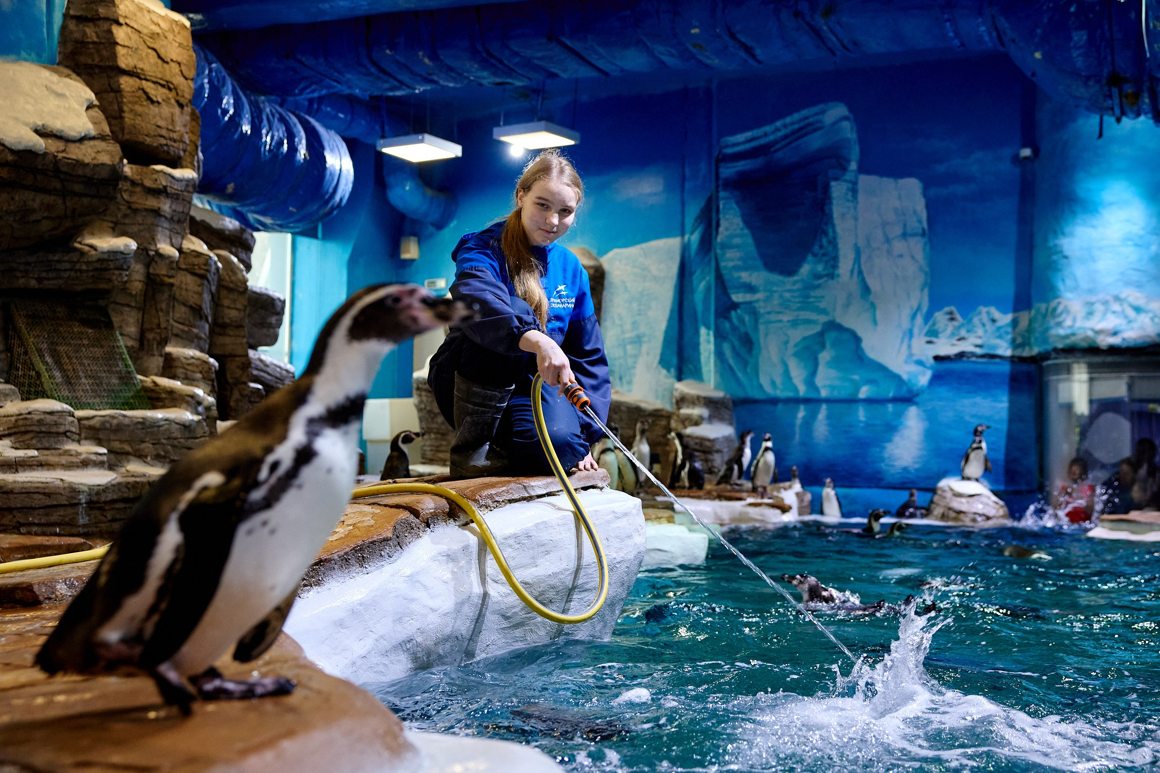 Тихоокеанская проектная школа 2025