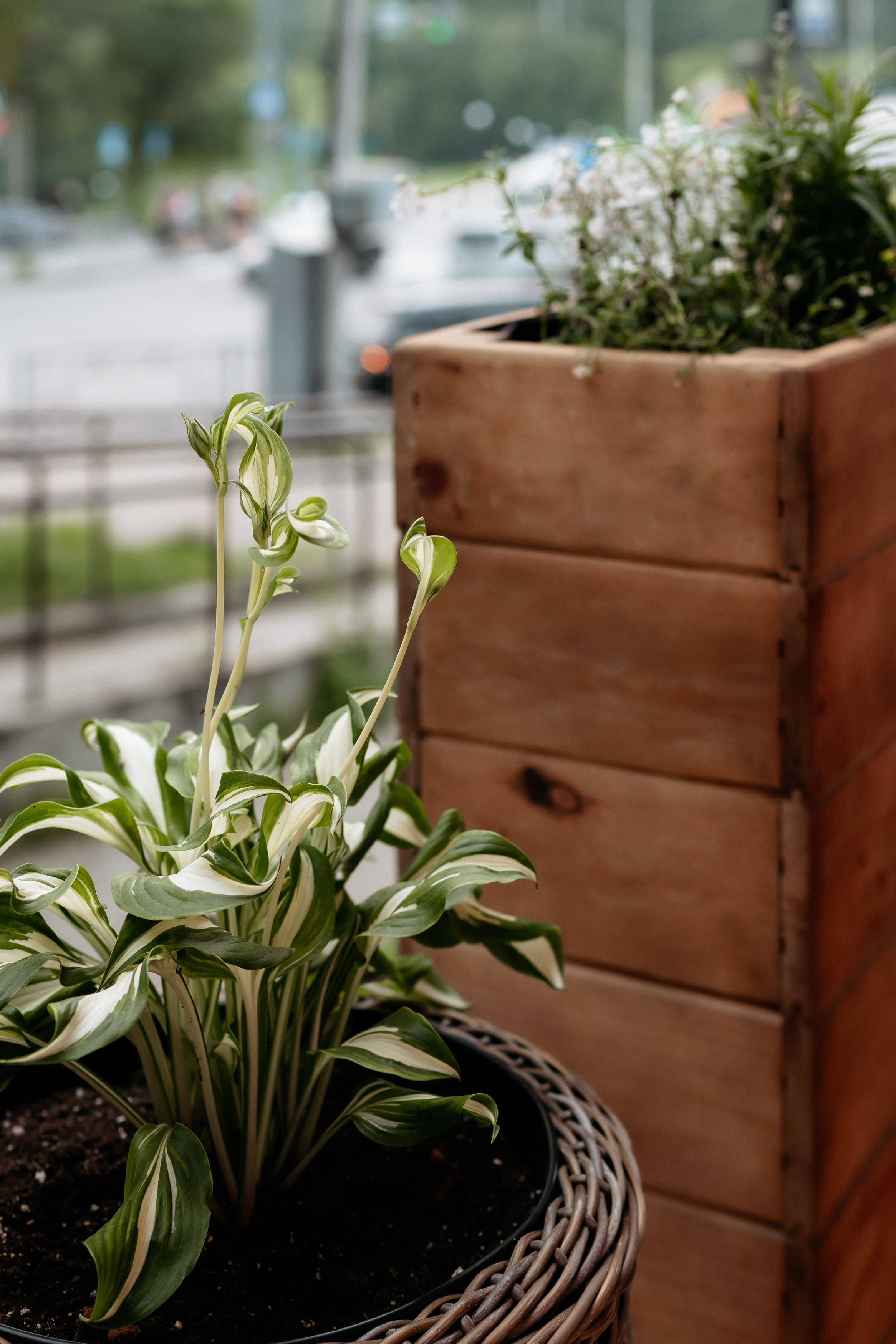 РЕСНОТА — ОТКРЫТИЕ ТЕРРАСЫ. СВОИ. ФОТООТЧЕТЫ-СОБЫТИЯ-МЕСТА