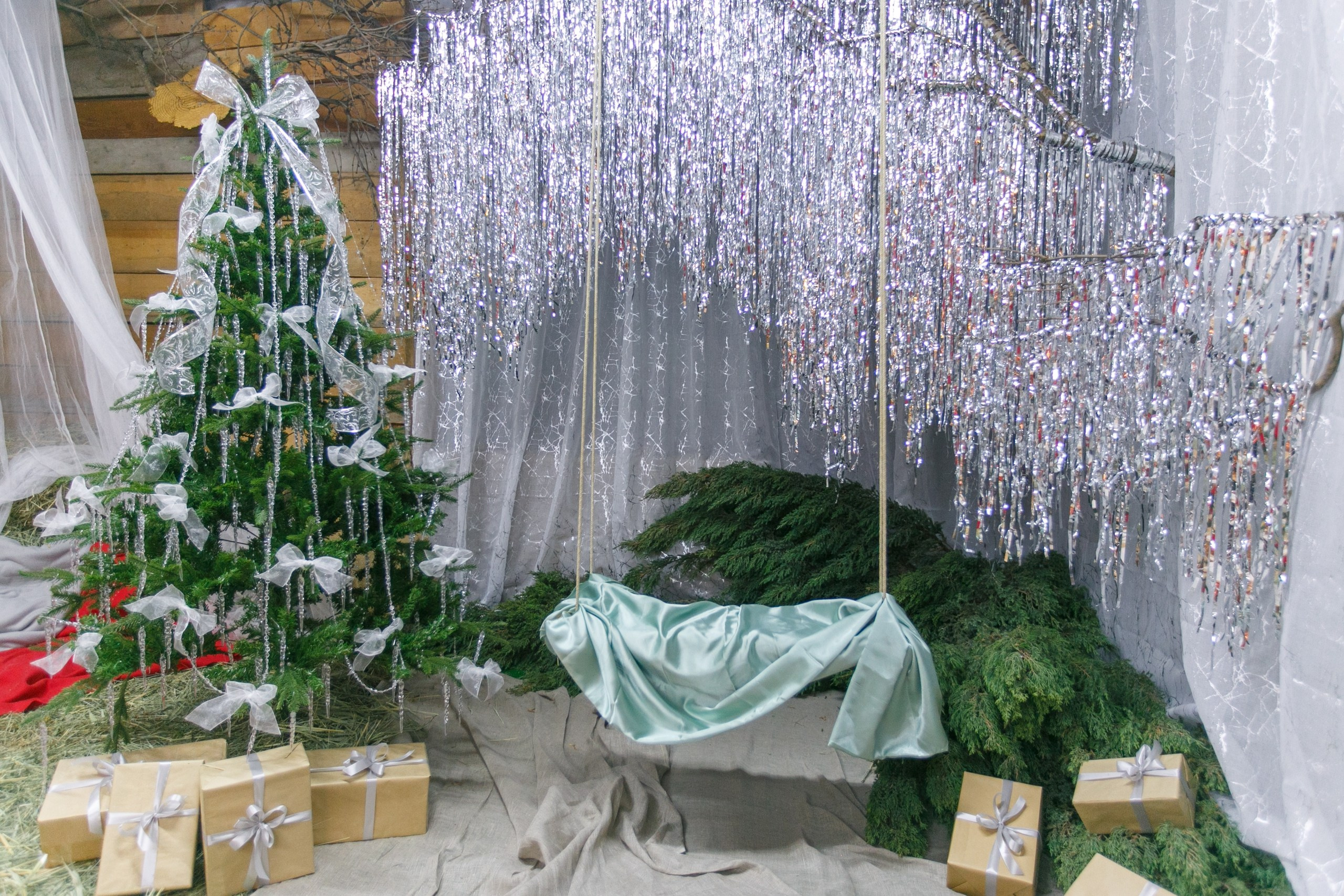 Рыжий кот. Фотограф в Таганроге и Ростове-на-Дону