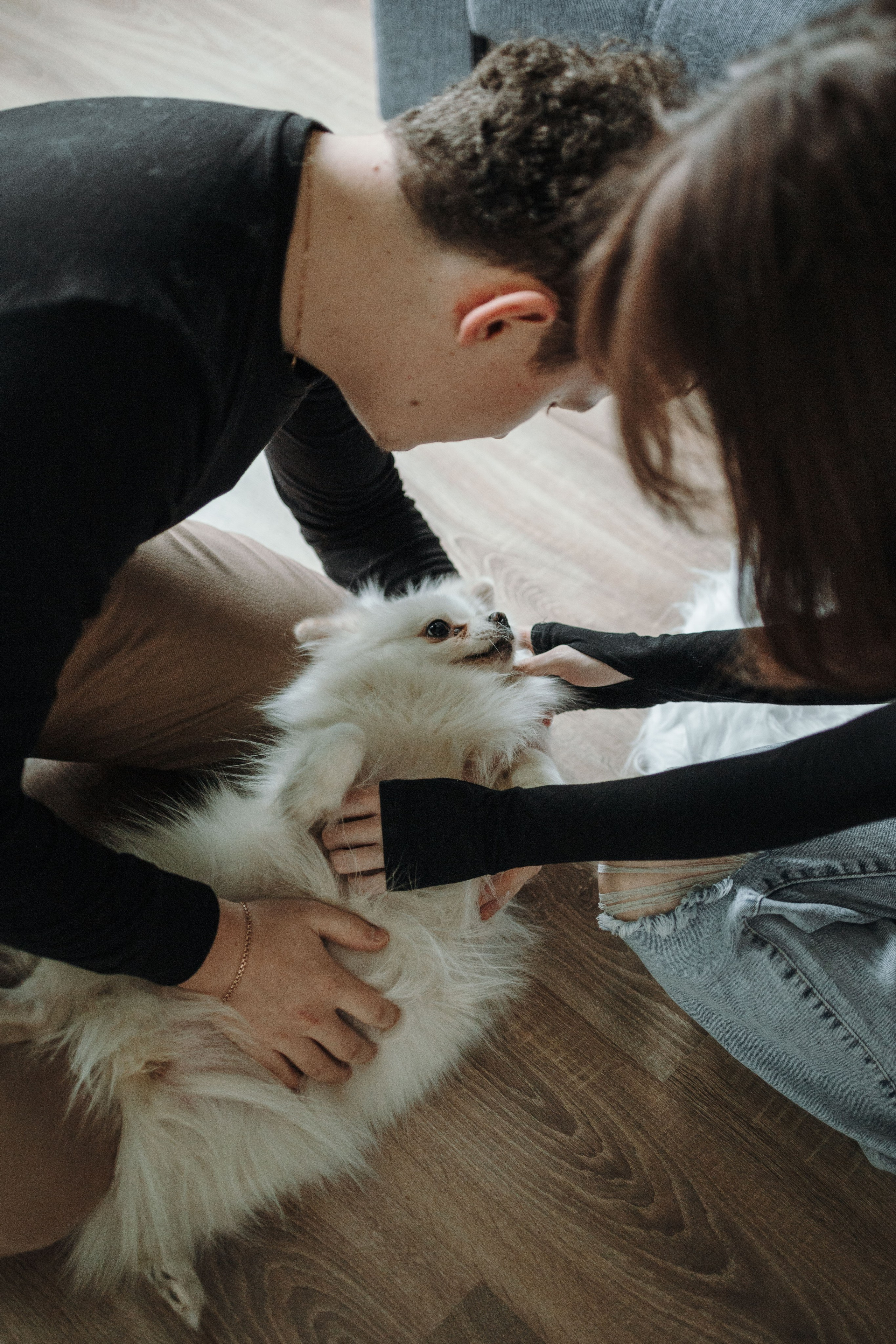 Шпиц Мася и ее семья