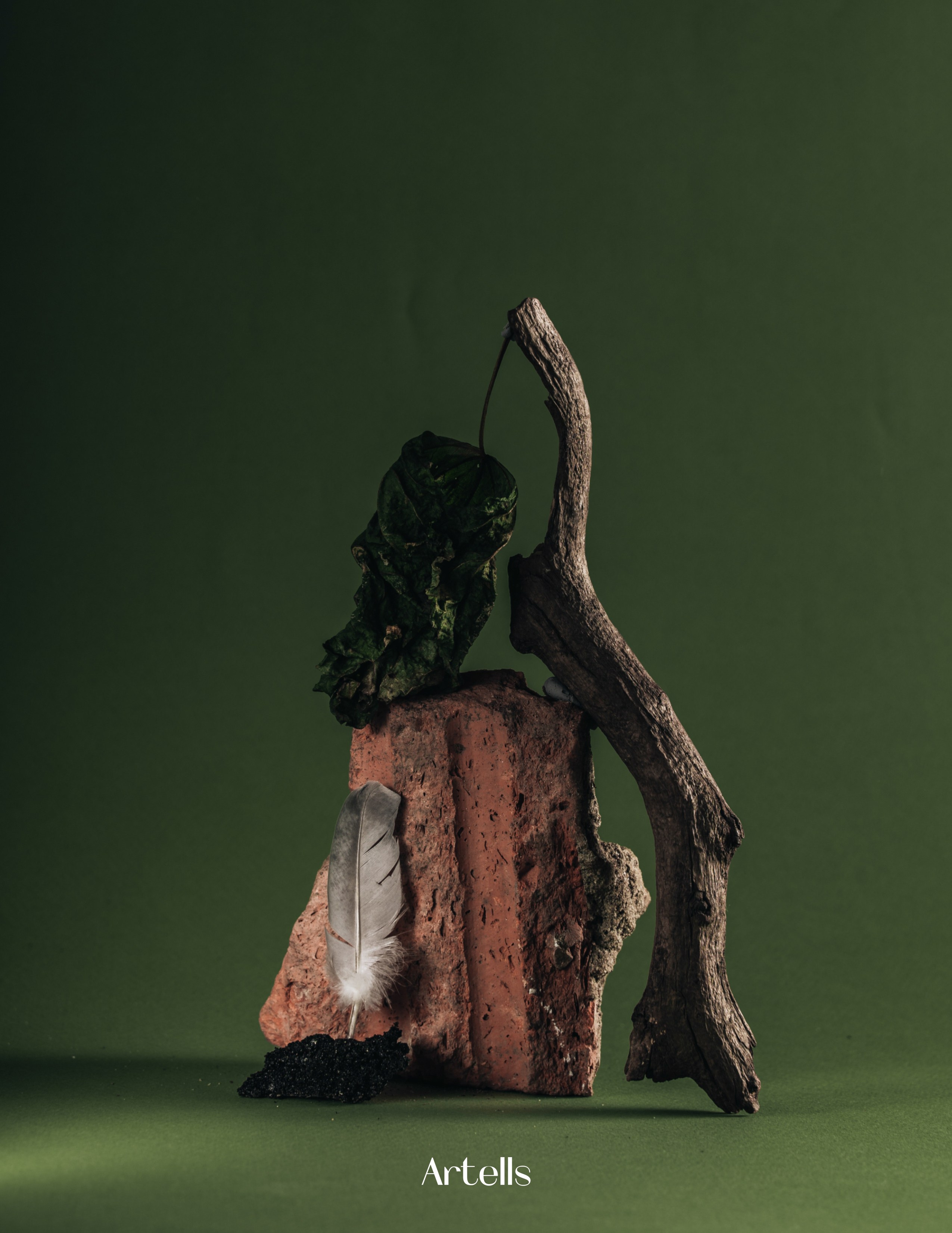 Artells Volume 1899. Асель Рембекова