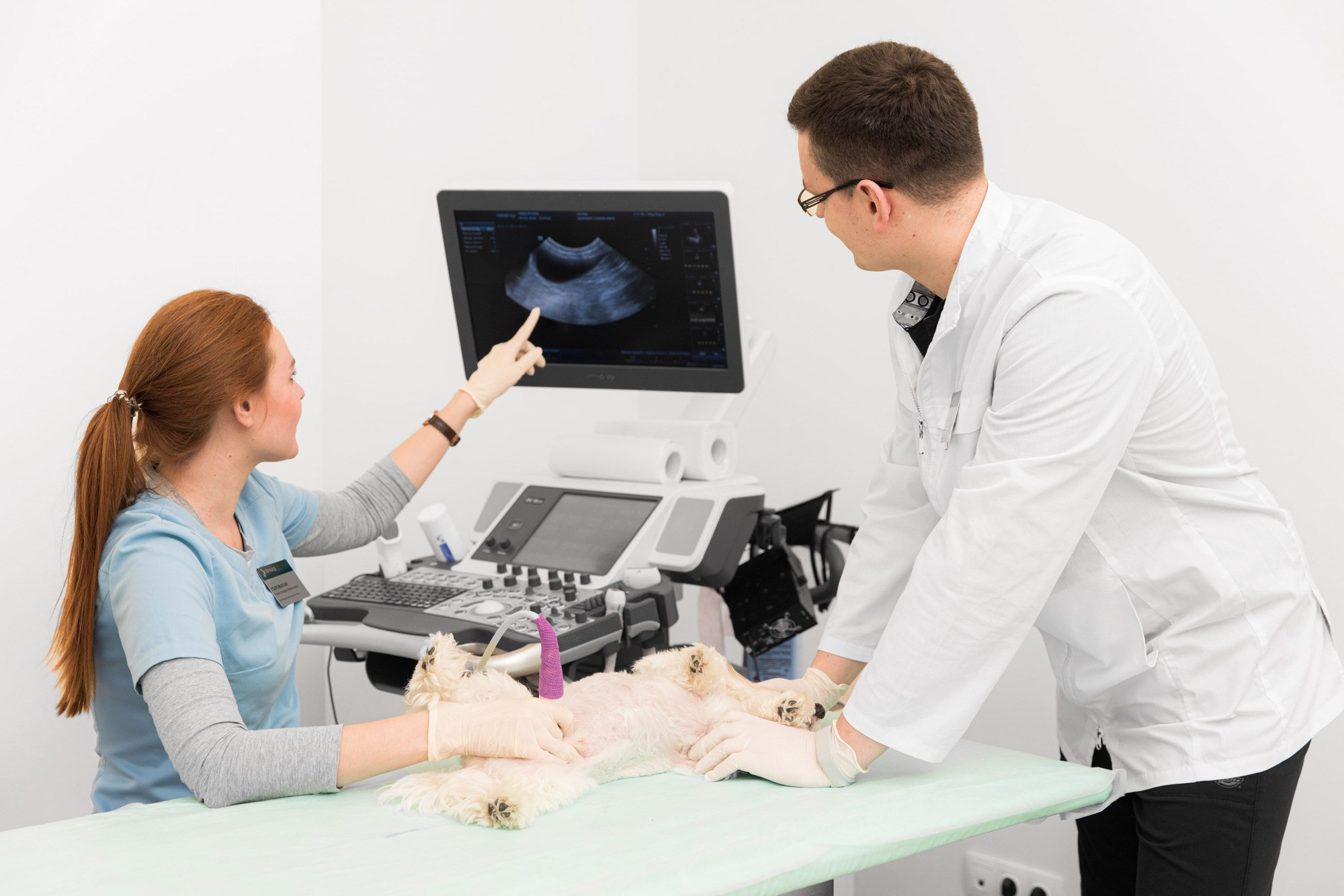 Рекламная фотосессия для ветеринарной клиники "Прайд"