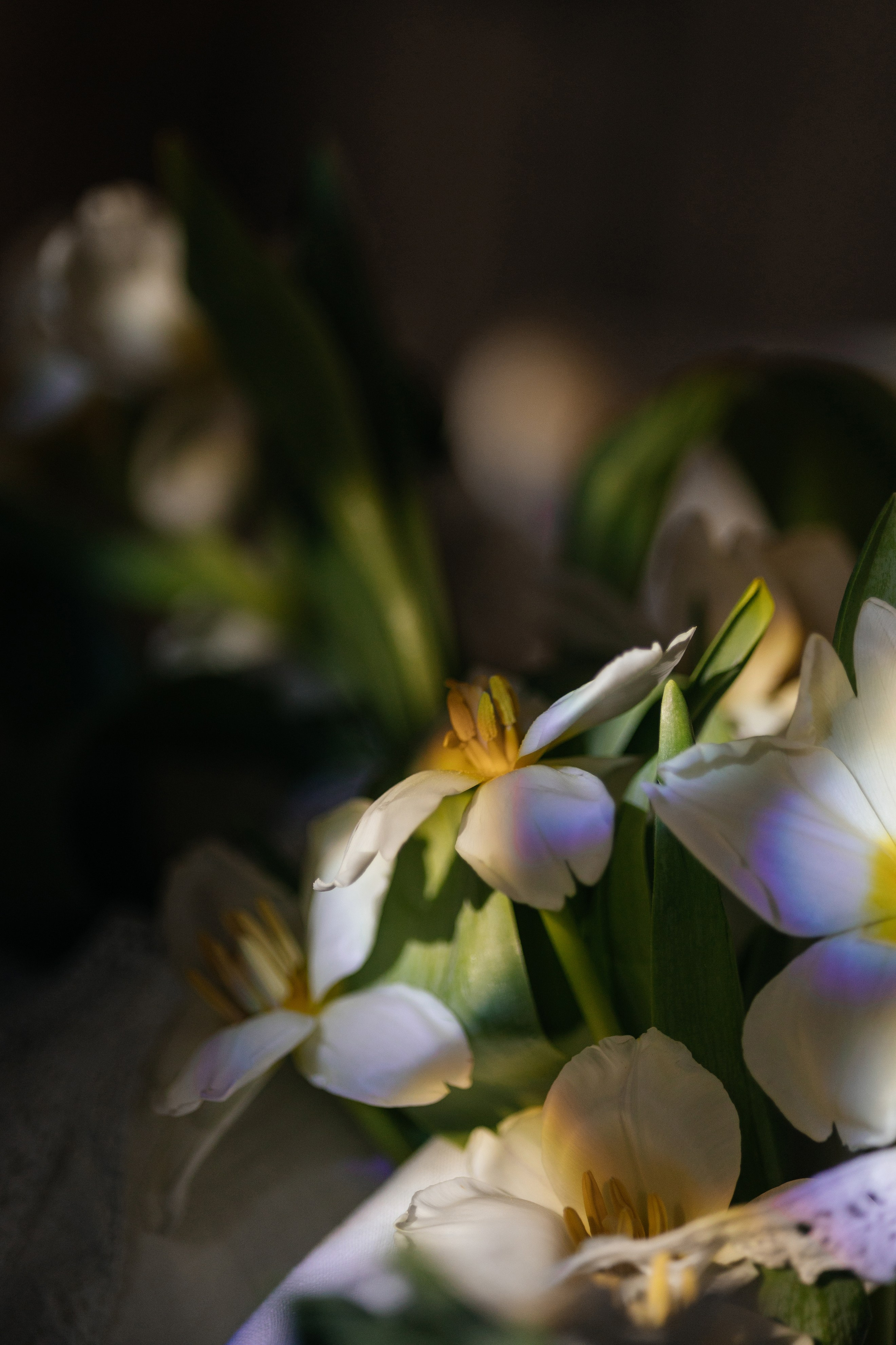 Илья & Полина. Фотограф Иркутск/Улан-Удэ Алекс Жданов