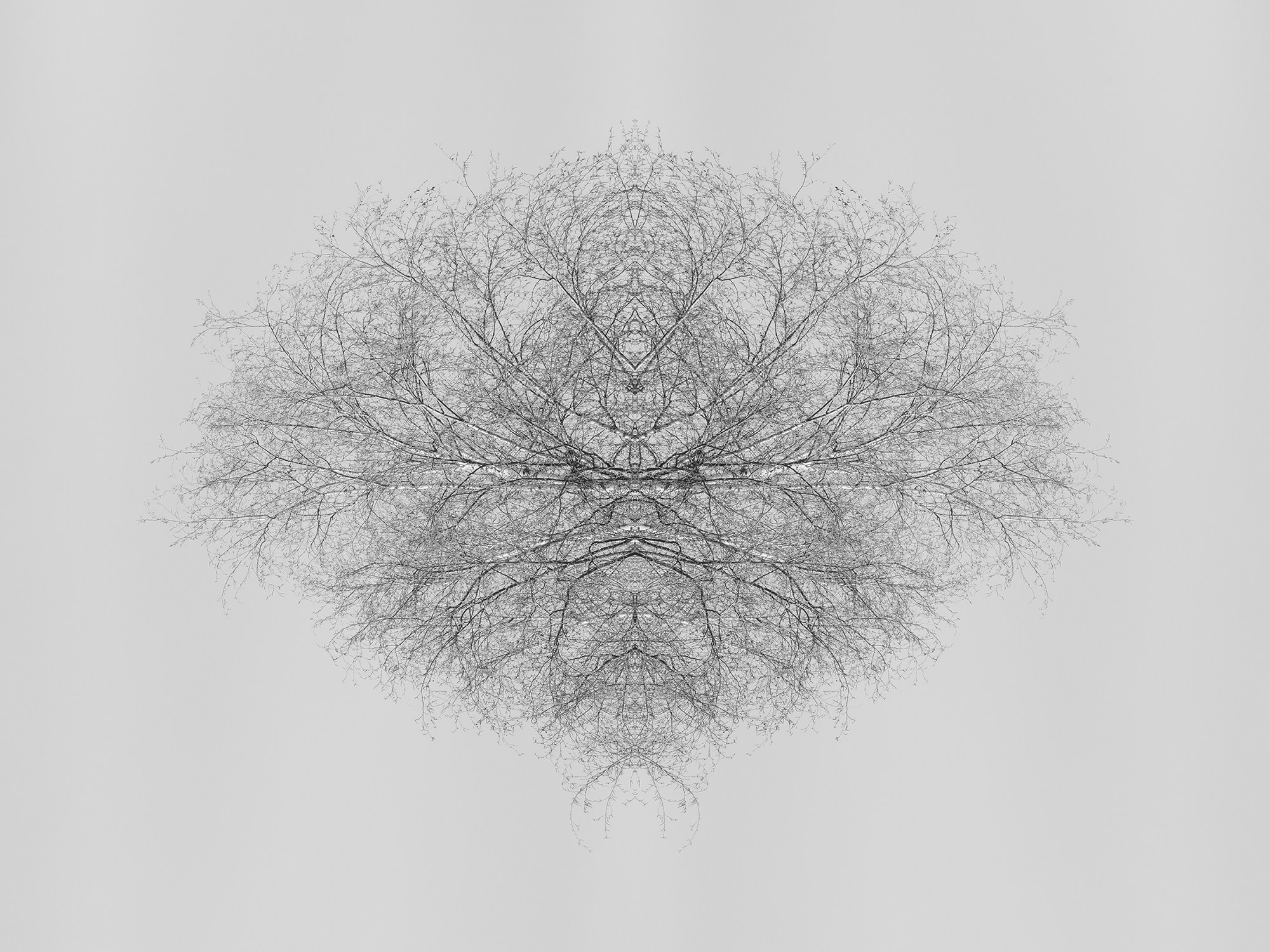 Острова. Анна Порошина — междисциплинарный художник