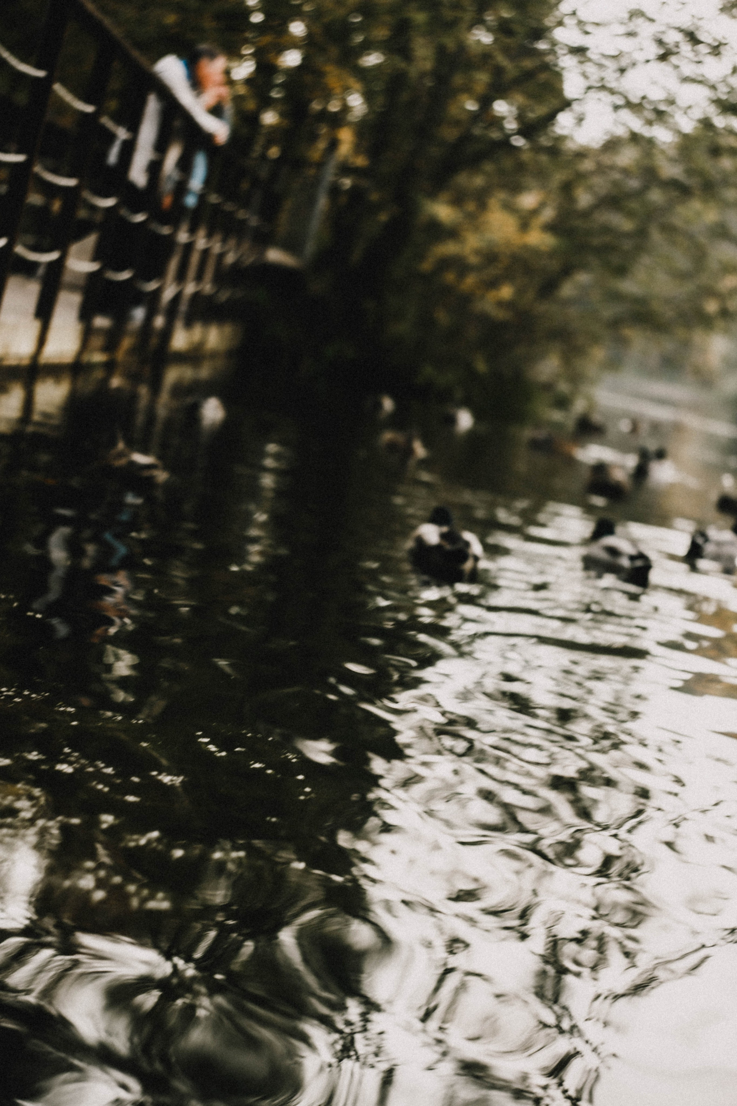 Анна на Щелчке. Осень. Фотограф в Нижнем Новгороде