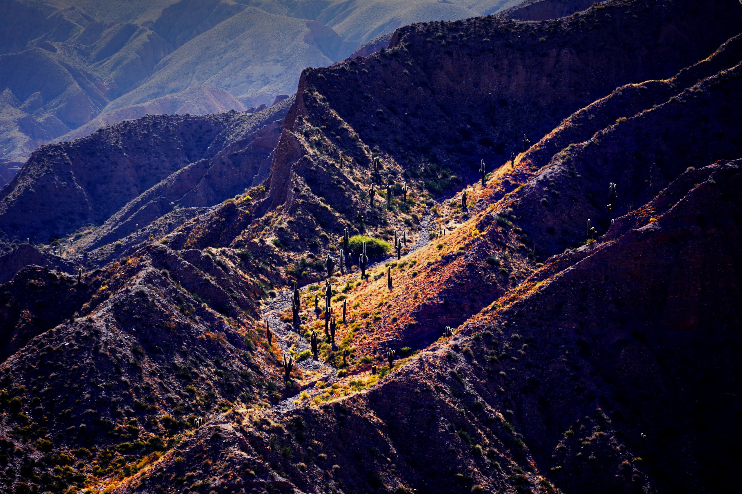 LANDSCAPE ландшафт. Семейный и детский фотограф в Буэнос-Айресе Перевозчикова Анна Fotógrafa de familia y niños en Buenos Aires Perevozchikova Anna