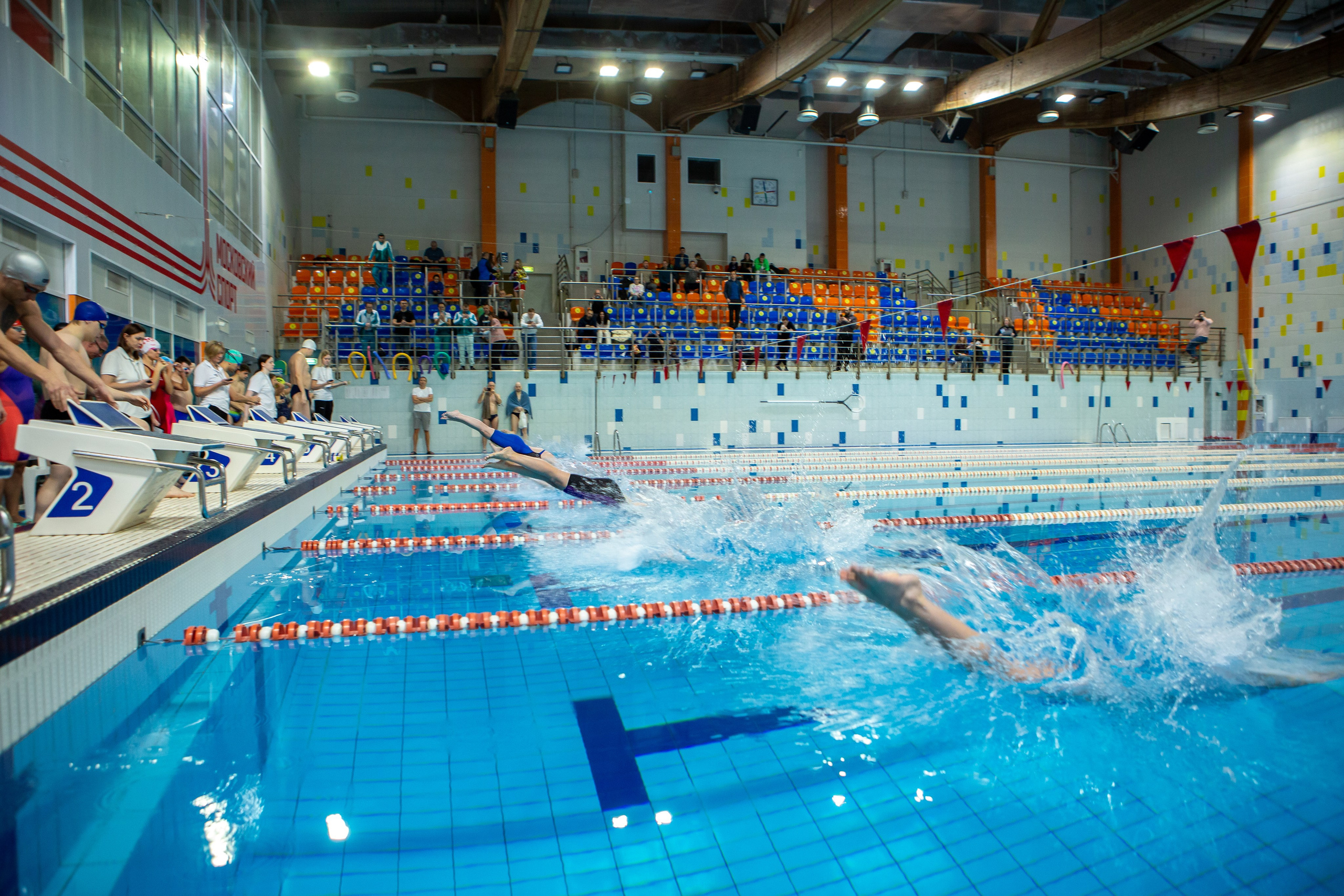 Турнир по плаванию. Репортажный, семейный, свадебный, портретный фотограф