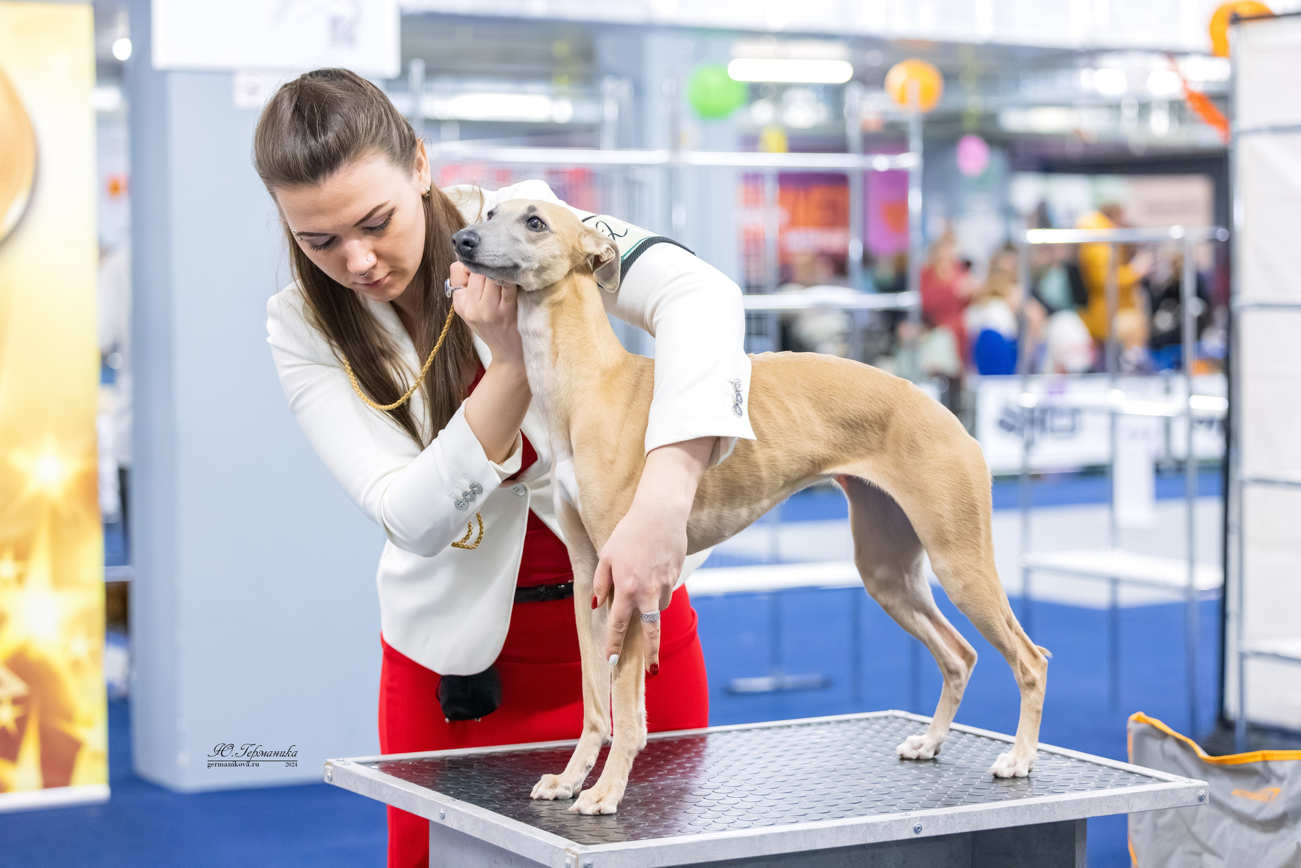 Сфера 17.03.2024. Фотограф-анималист Юлия Германика